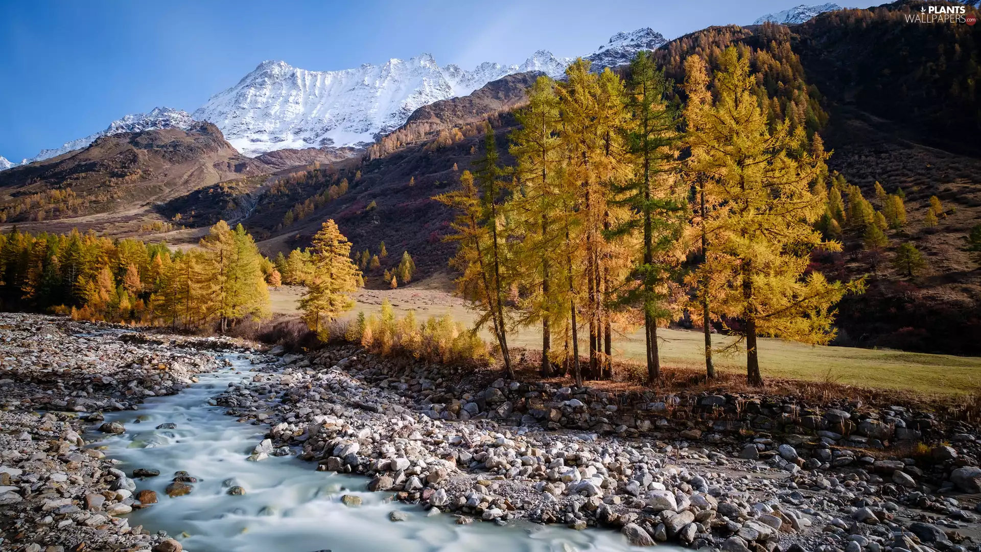trees, Mountains, Stones, River, viewes, Yellowed