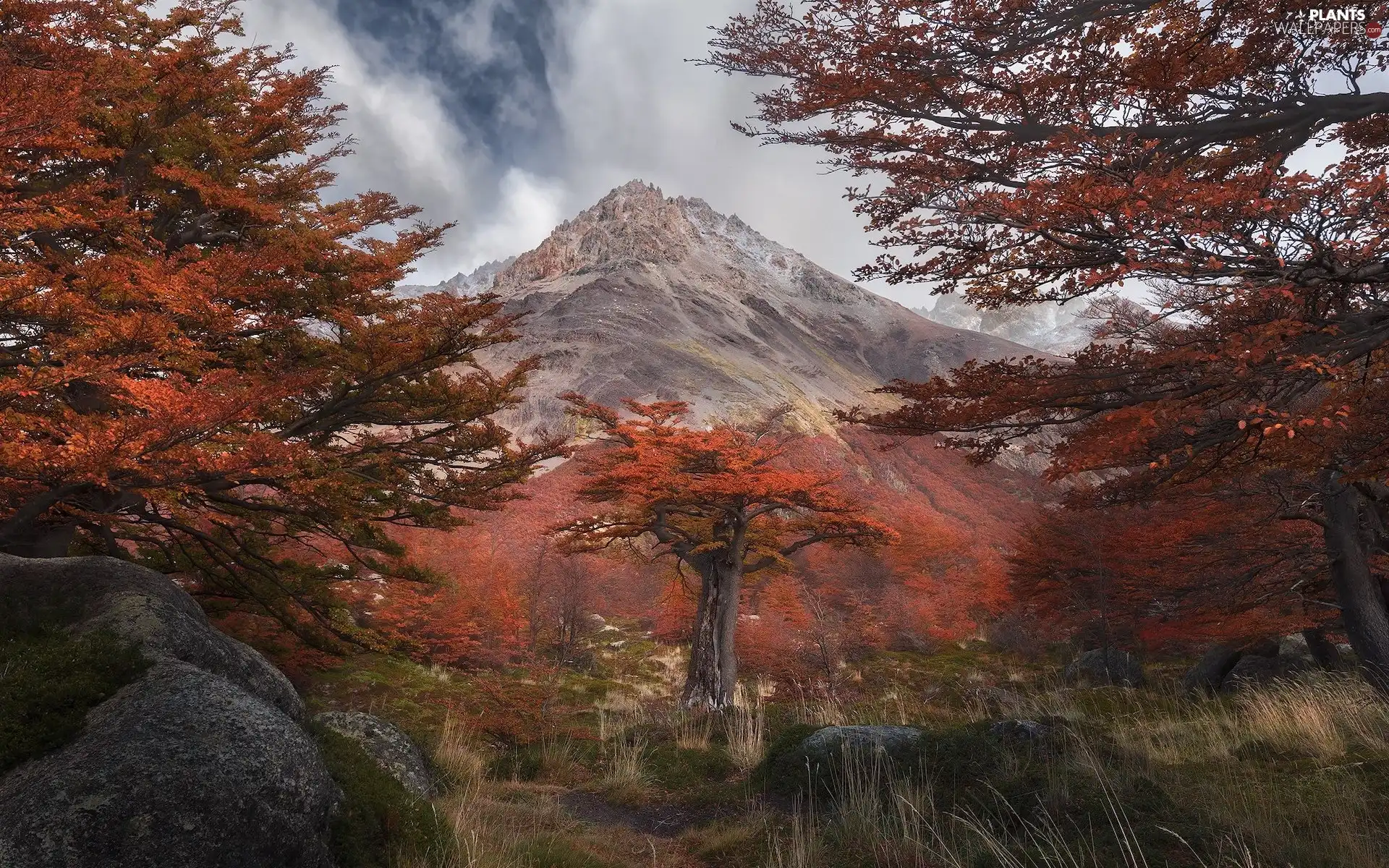 viewes, rocks, autumn, trees, mountains