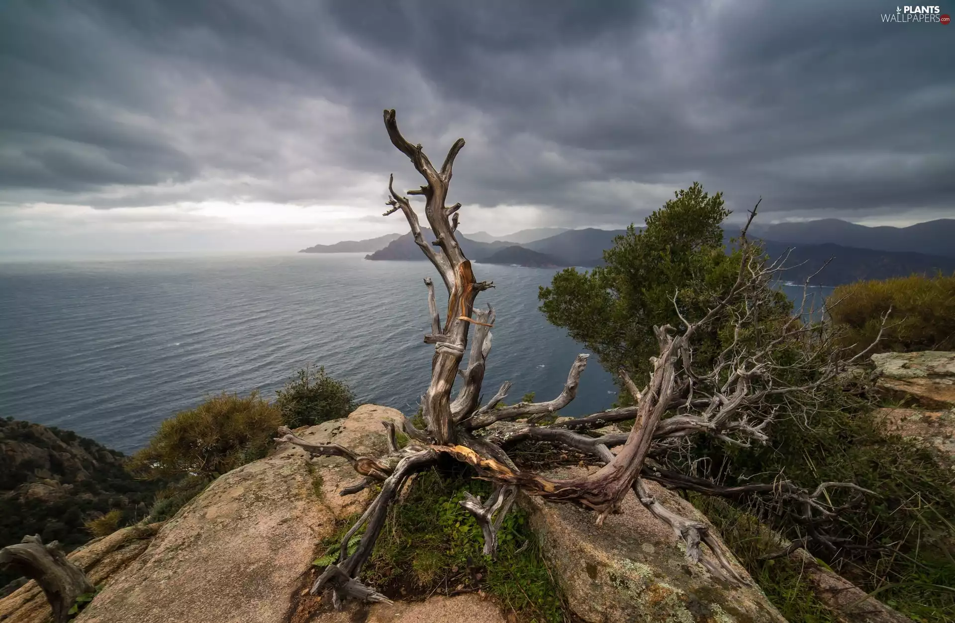 rocks, sea, viewes, Lod on the beach, trees, Mountains