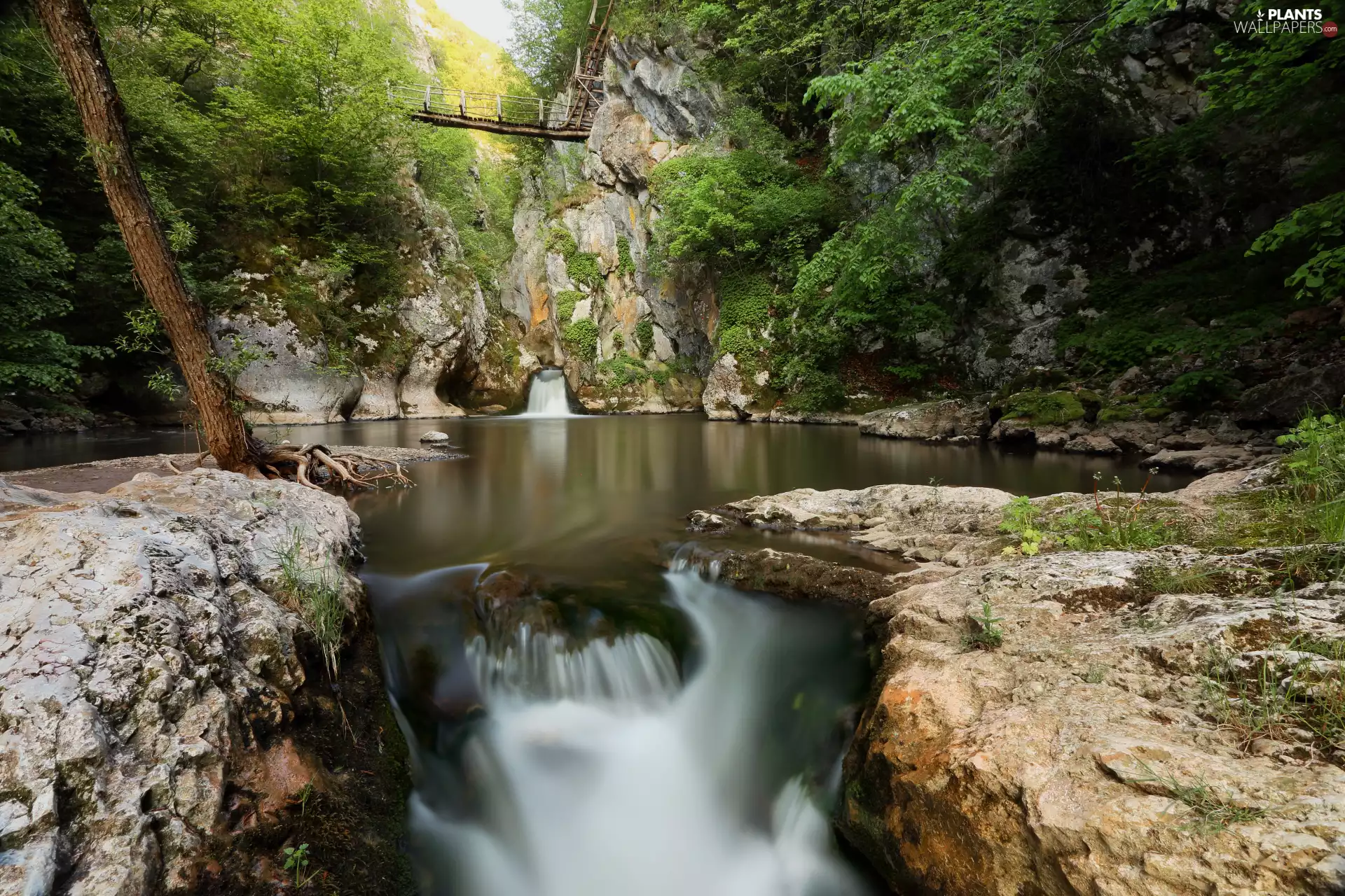 waterfall, trees, bridges, viewes, Stones, River, forest, rocks