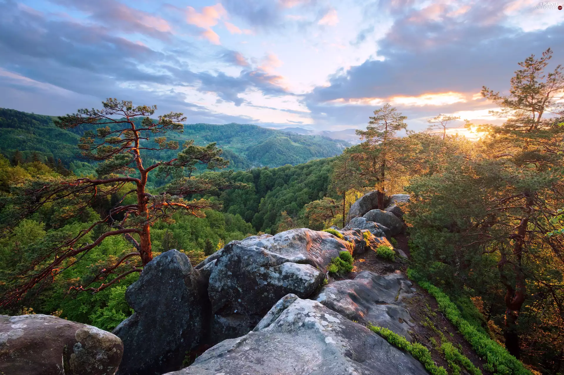 Rocks, forest, Great Sunsets, Mountains, viewes, carpathians, Ukraine, trees