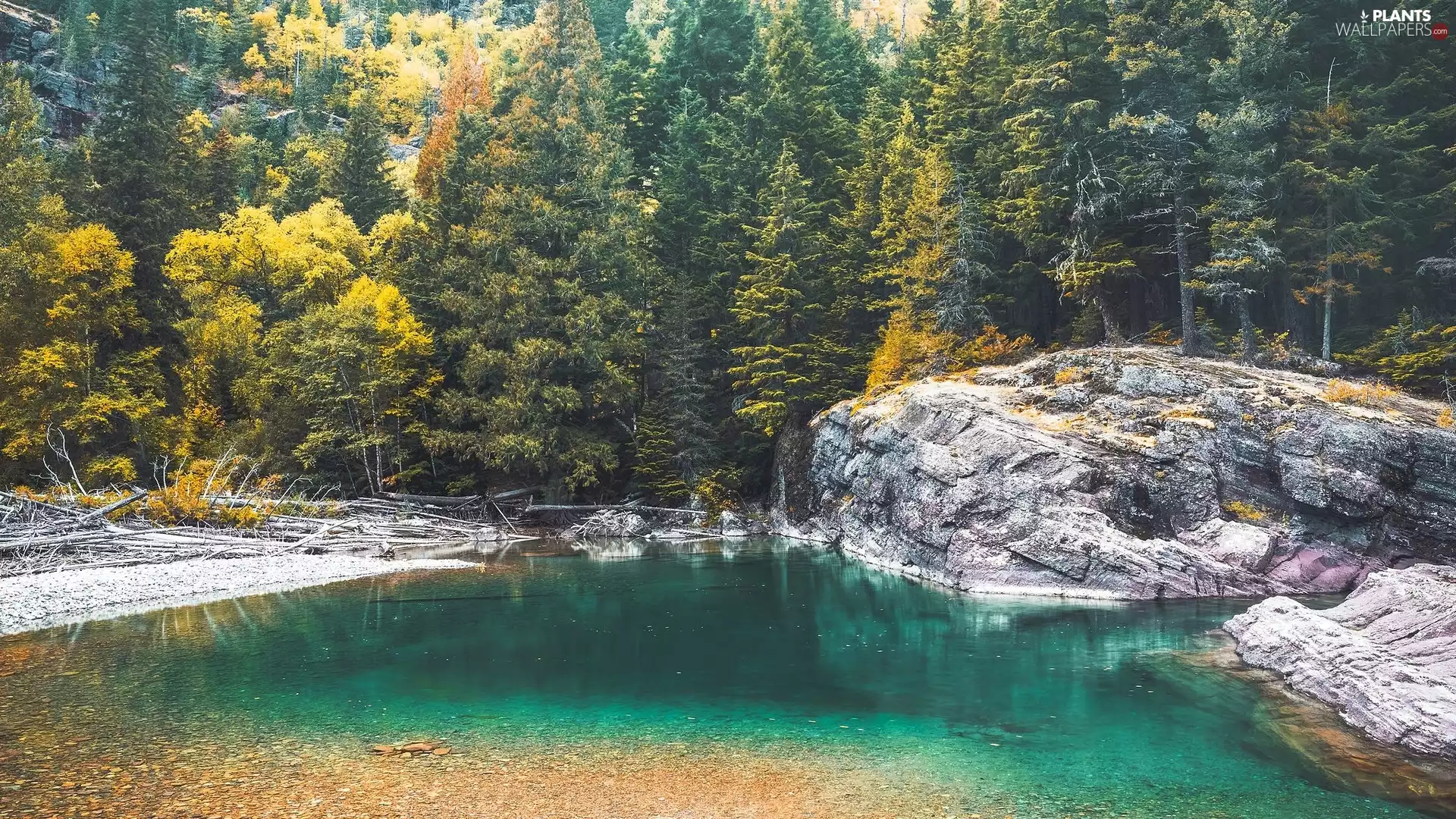 trees, autumn, River, rocks, viewes, color