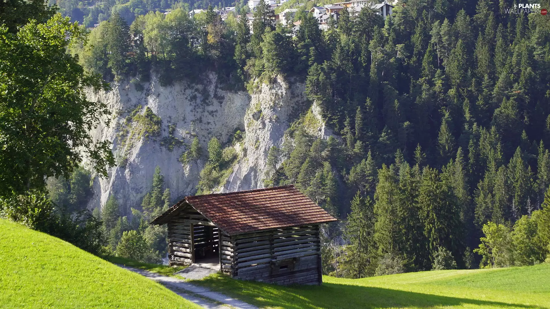 cote, trees, viewes, rocks