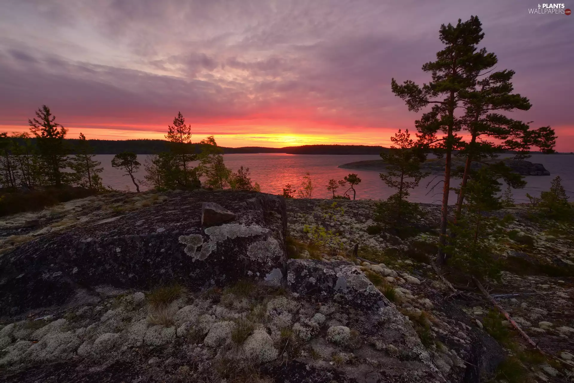 rocks, trees, Russia, viewes, Karelia, Mountains, Lake Ladoga, Great Sunsets