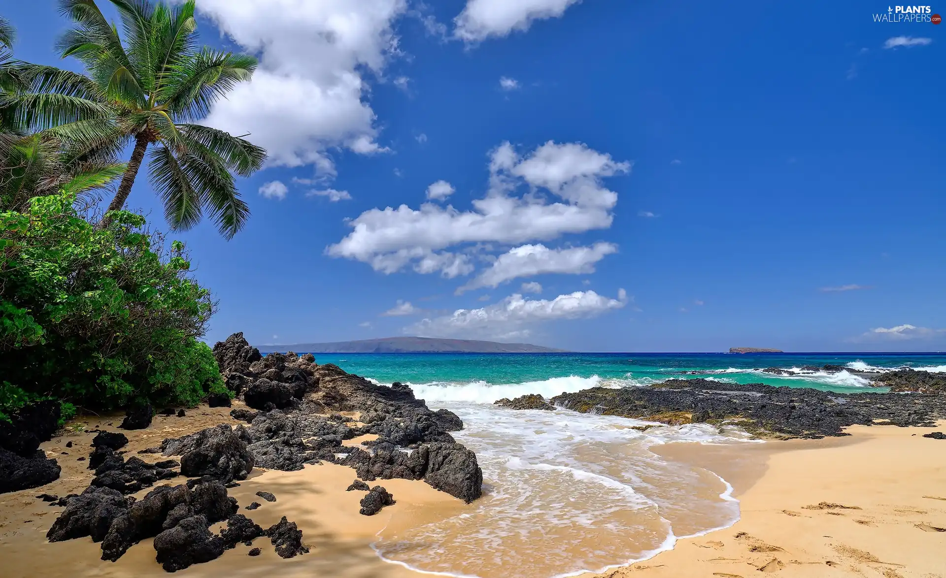 rocks, sea, VEGETATION, Beaches, Aloha State Hawaje, Palms, clouds