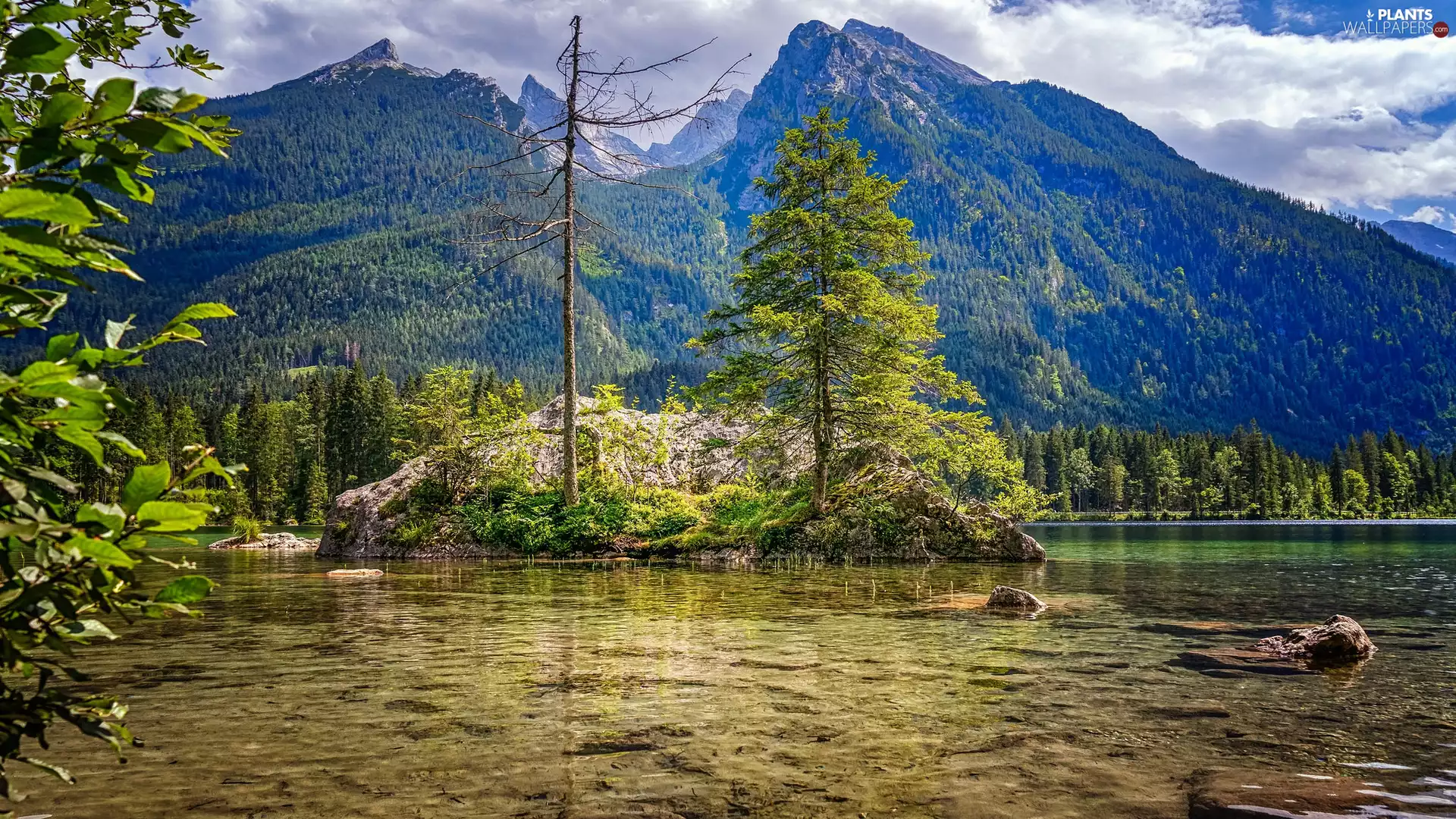 rocks, trees, Germany, viewes, Bavaria, Alps, Mountains, Lake Hintersee