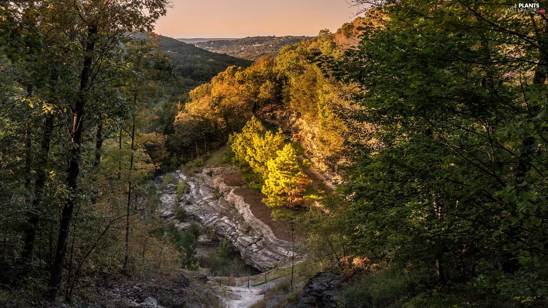 viewes, rocks, Mountains, trees, forested