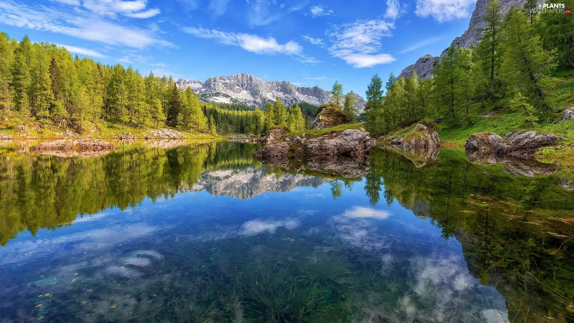 rocks, trees, Slovenia, viewes, Triglav National Park, lake, Mountains, reflection
