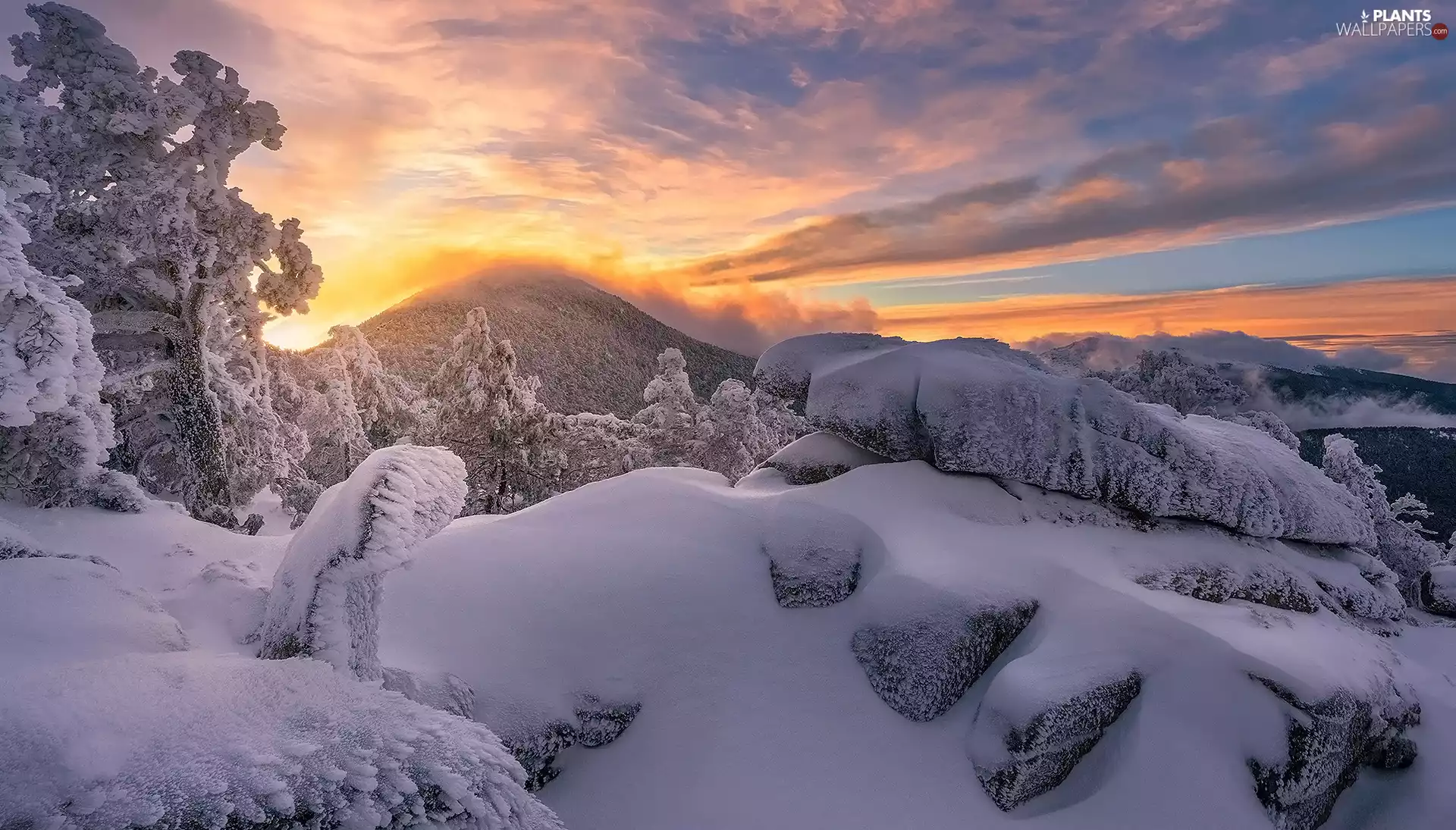 trees, winter, Stones, Rocks, viewes, Mountains