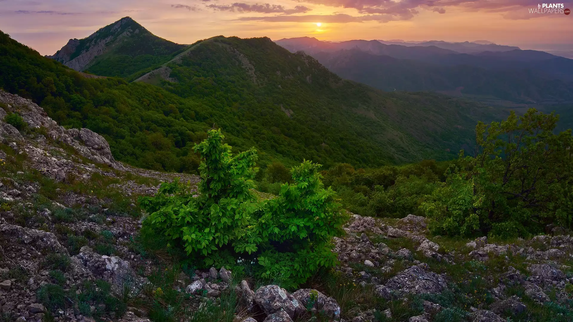 VEGETATION, Great Sunsets, rocks, Bush, Mountains