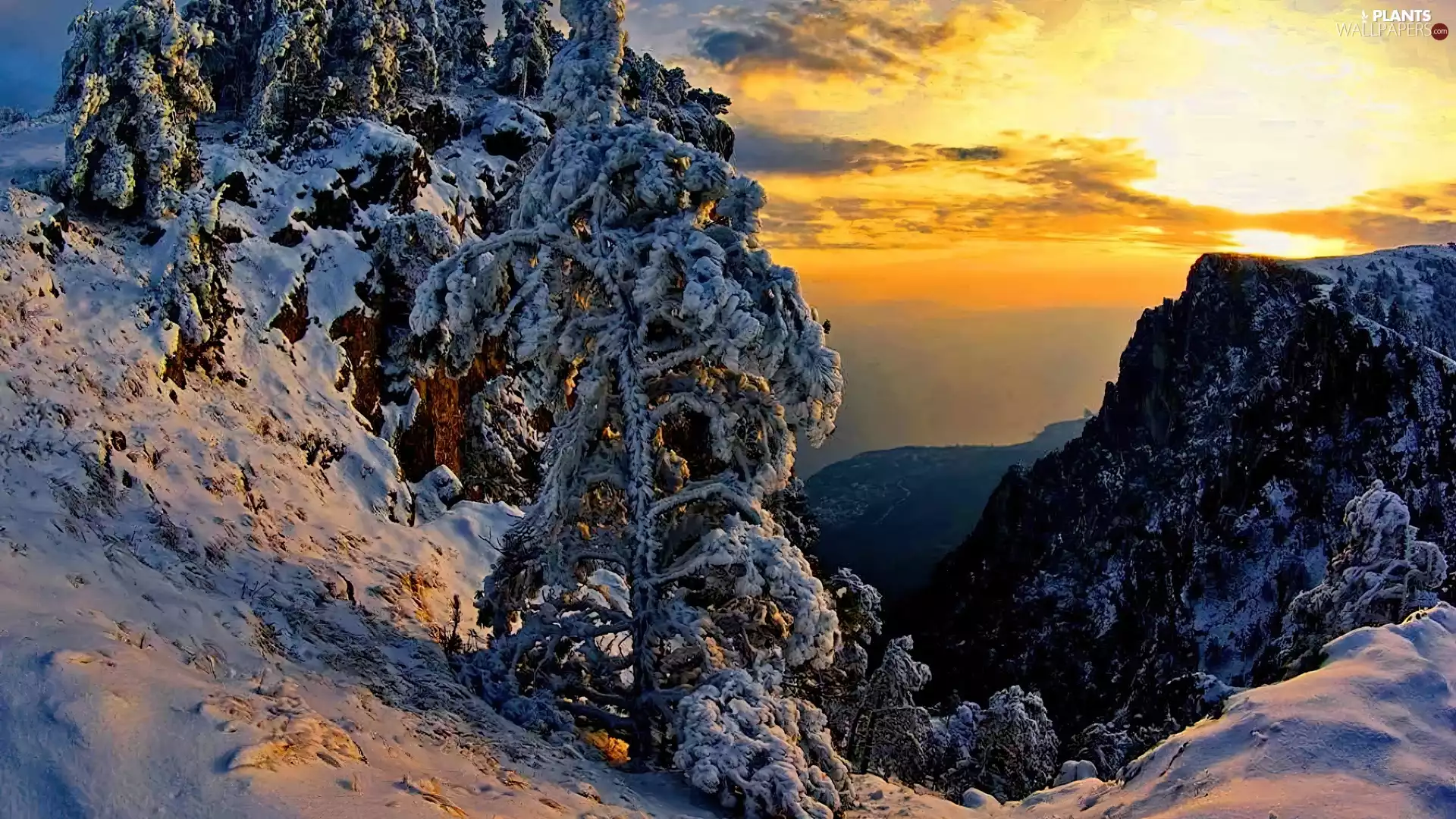 viewes, Great Sunsets, rocks, trees, Mountains