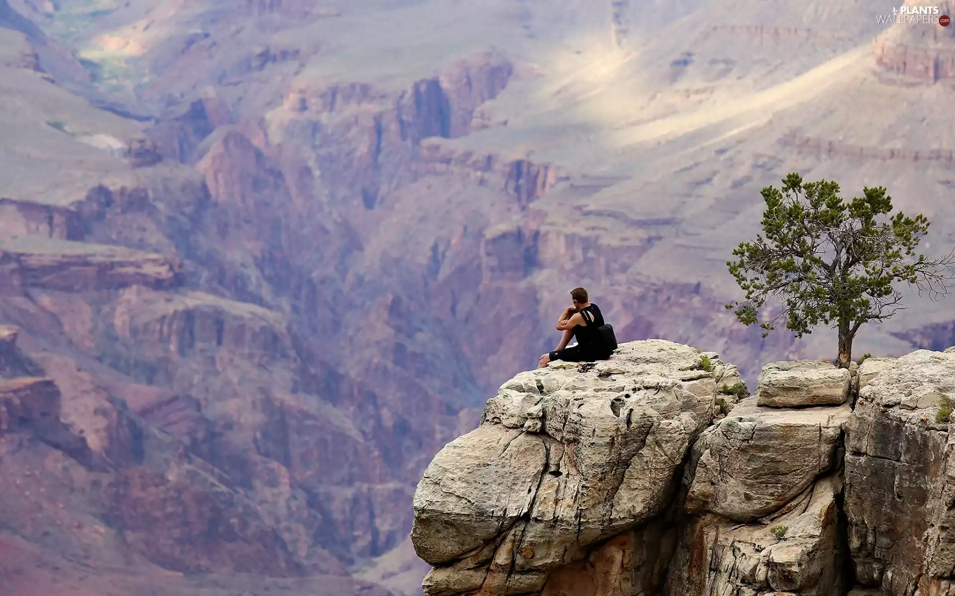 Mountains, trees, tourist, Rocks