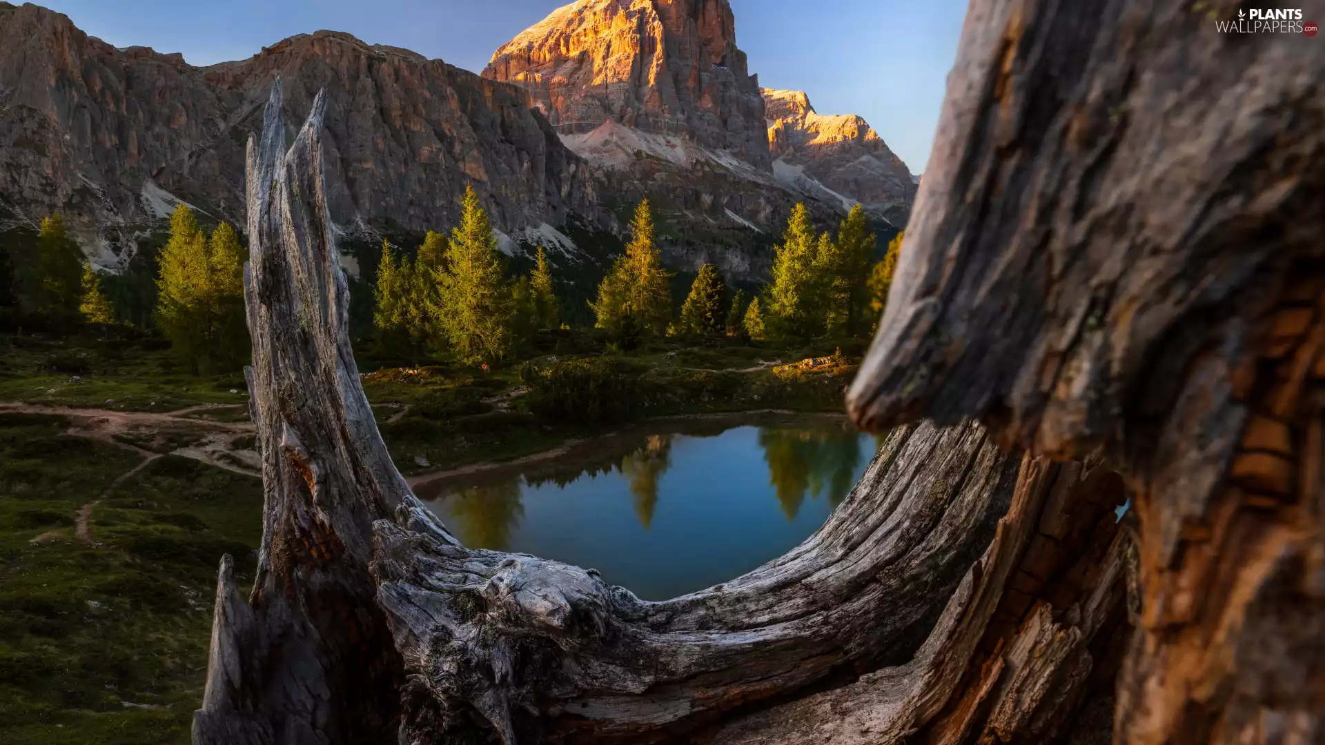 lake, forest, trees, rocks, reflection, Mountains