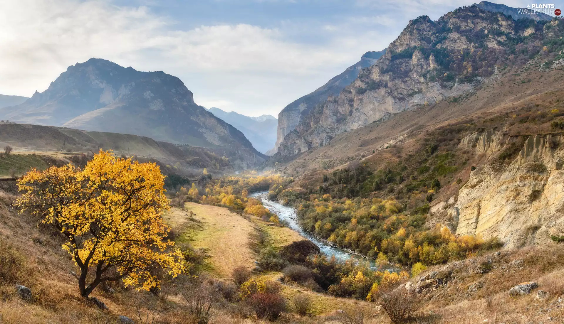River, autumn, viewes, rocks, trees, Mountains