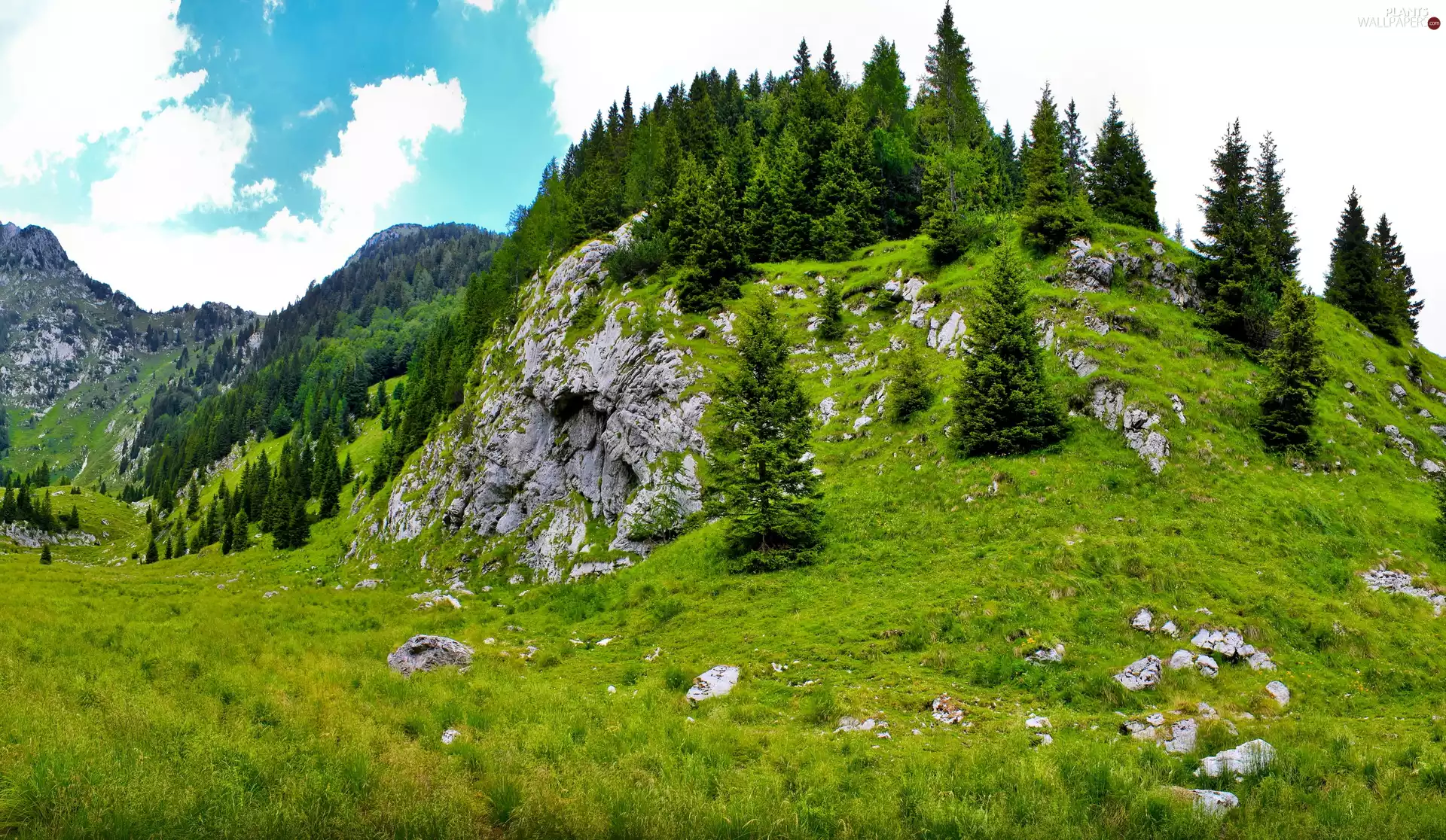 Mountains, trees, viewes, rocks
