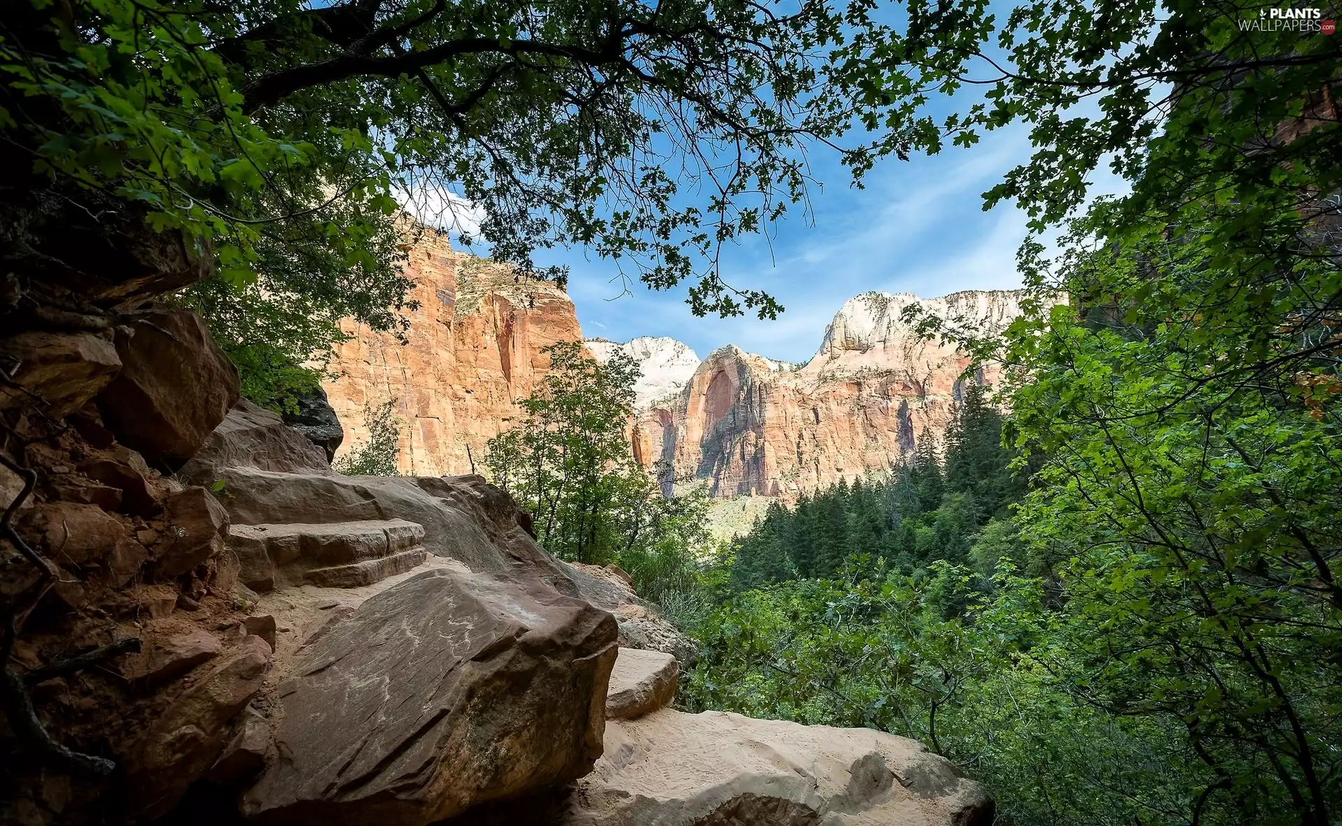 Mountains, trees, viewes, rocks