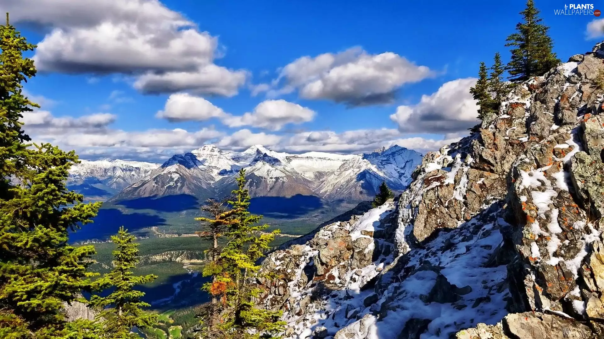 Mountains, trees, viewes, rocks
