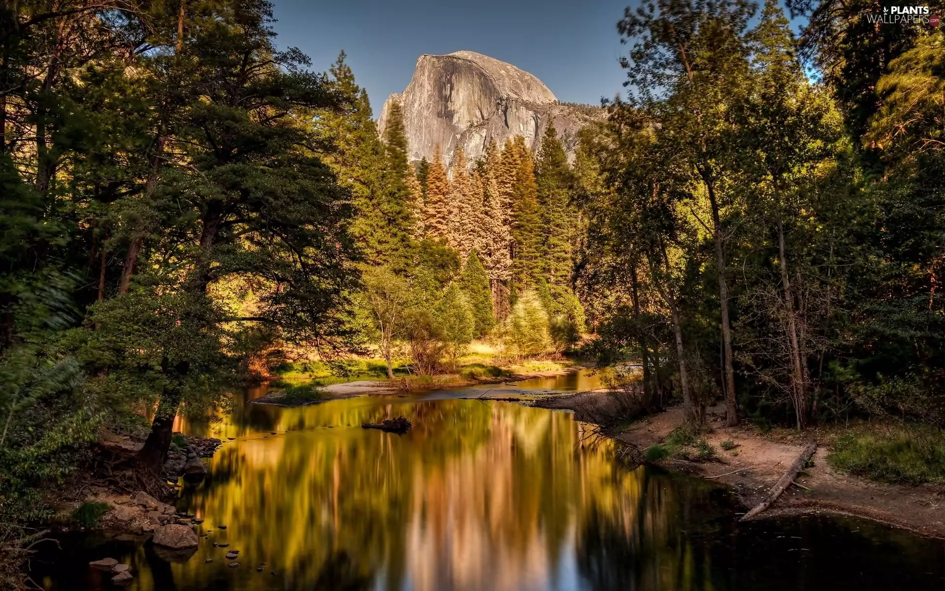 State of California, The United States, Yosemite National Park, Merced River, trees, viewes, Mountains, Half Dome, rocks