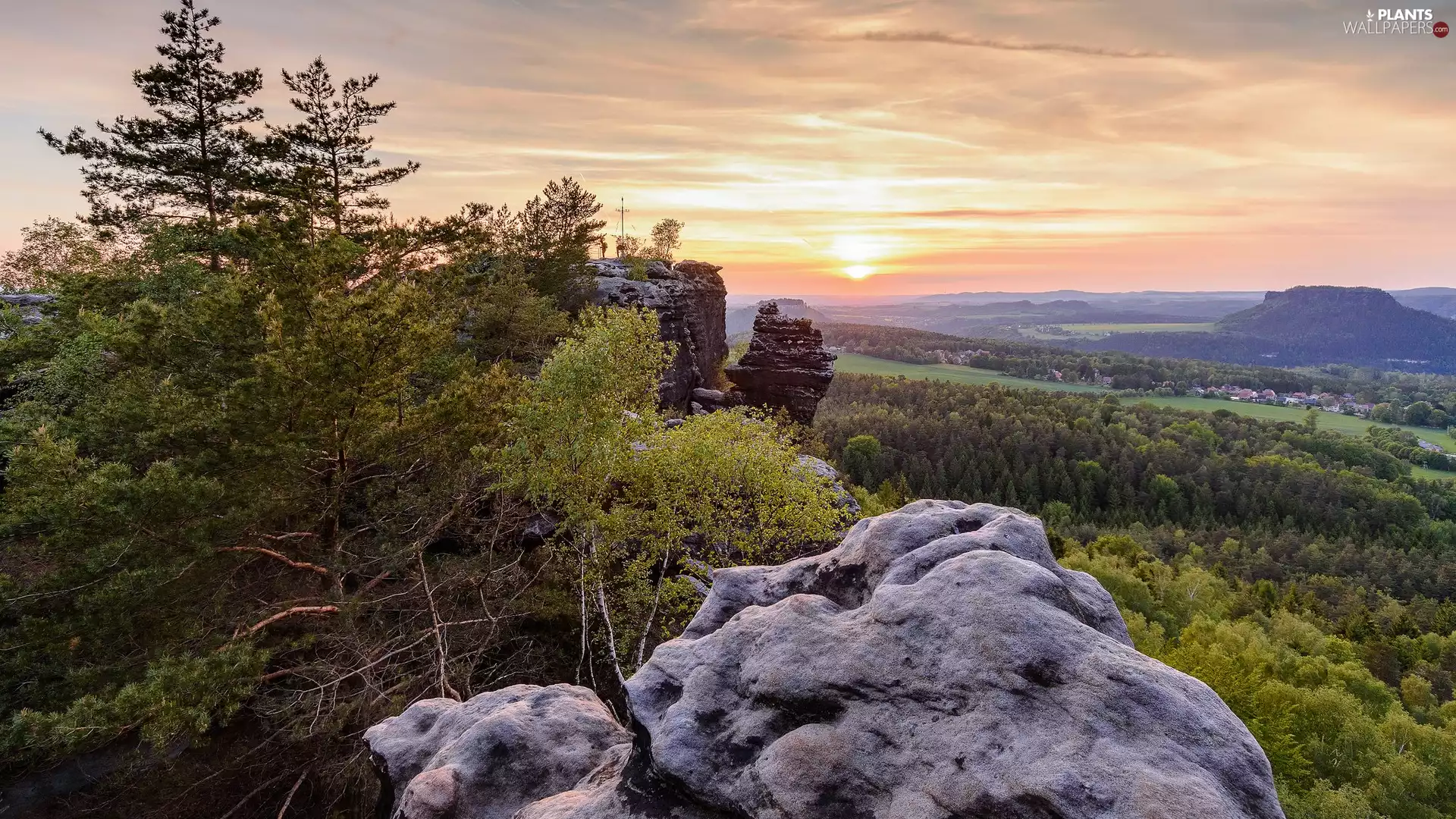 rocks, trees, rocks, viewes, Sunrise, Saxon Switzerland National Park, Germany
