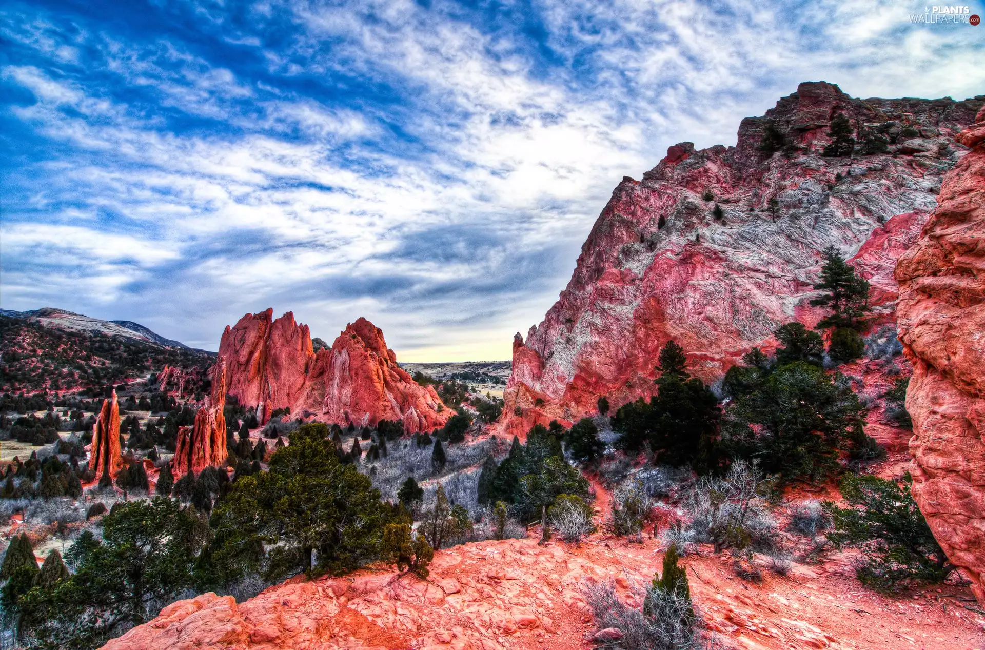 Red, trees, viewes, rocks