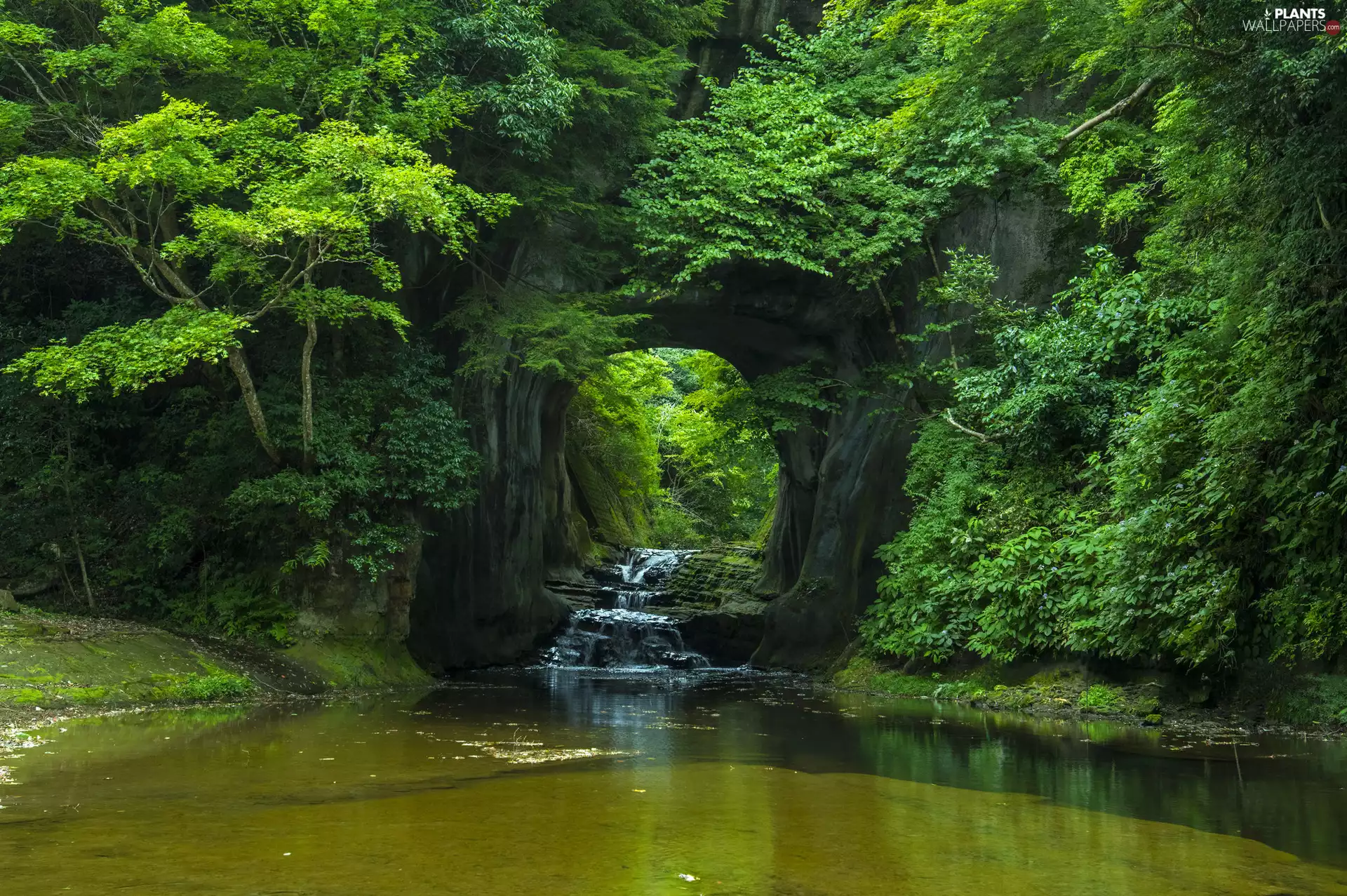 trees, Rocks, River, Rocks, viewes, green ones