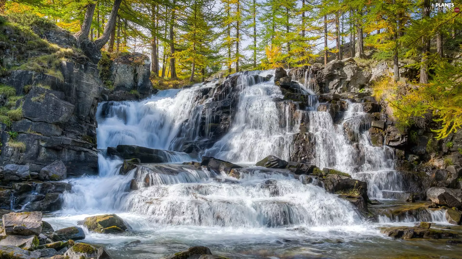 forest, waterfall, viewes, rocks, trees, River