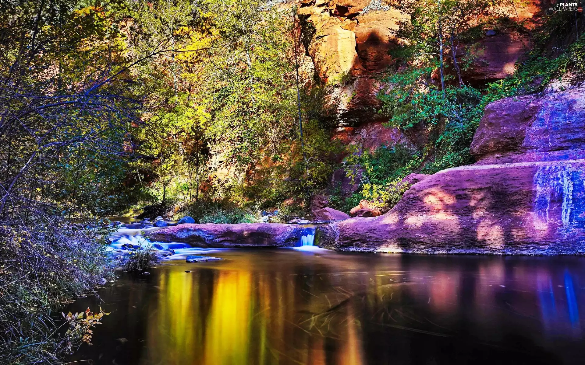 River, trees, viewes, rocks