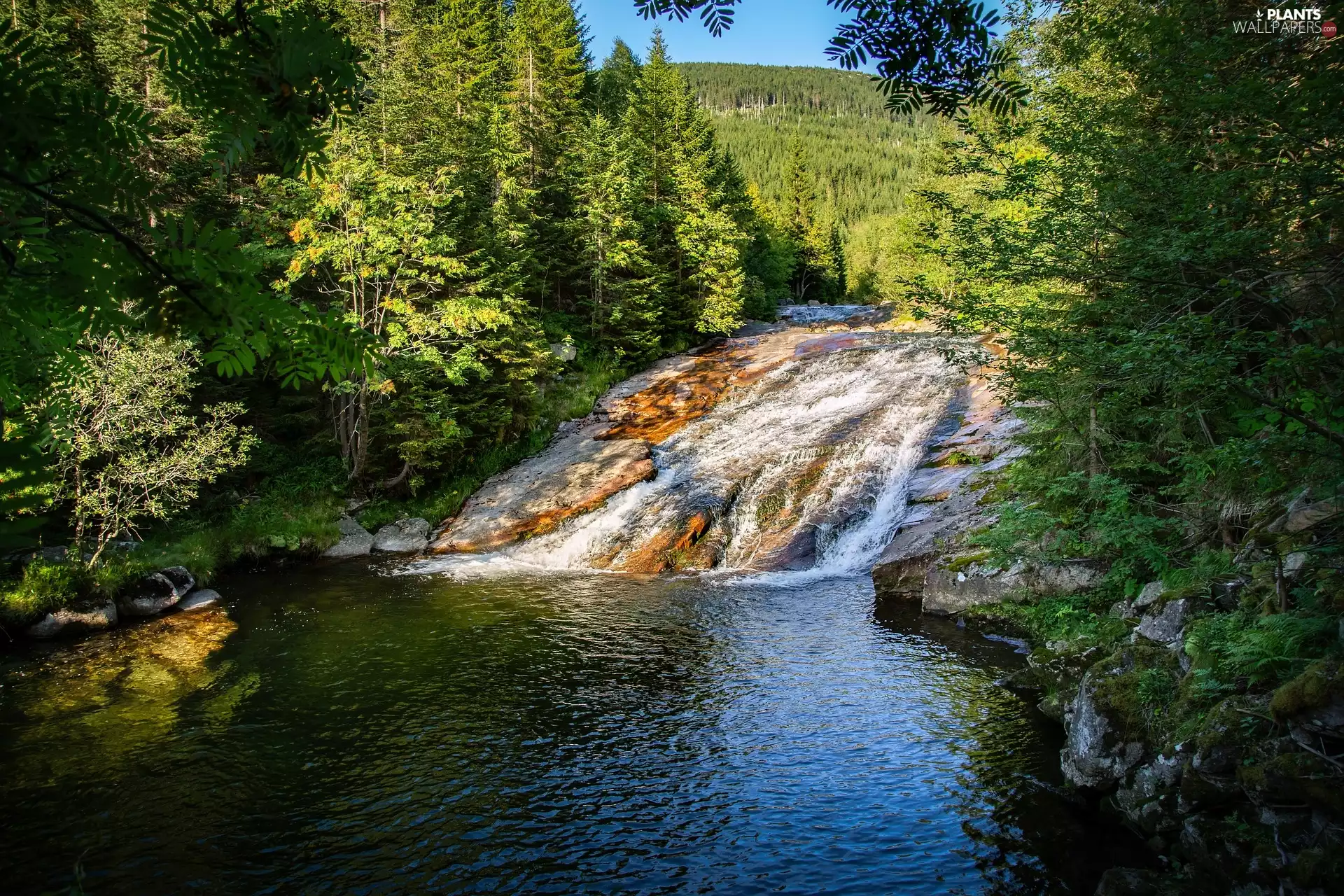 River, trees, viewes, Rocks
