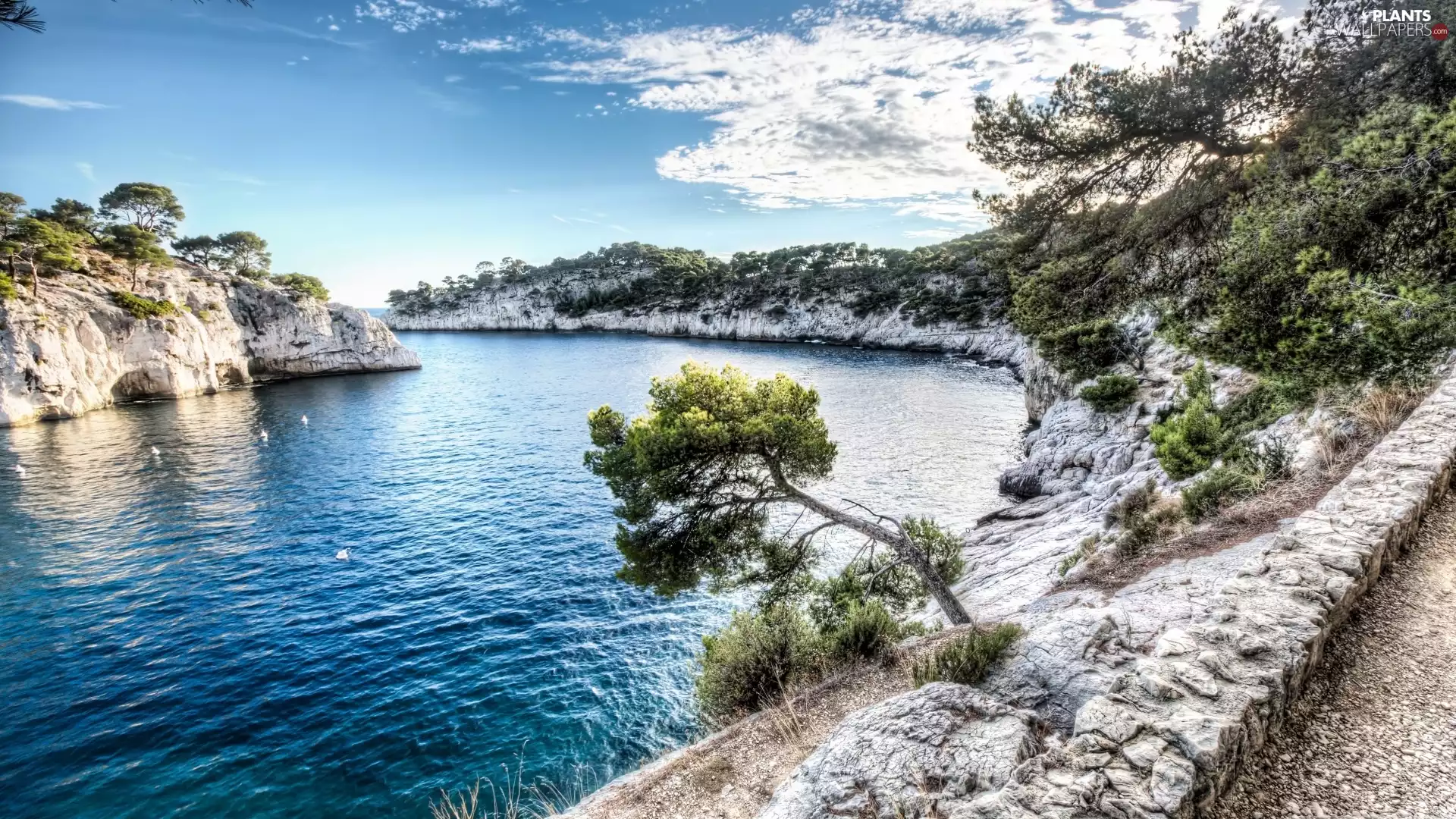 River, trees, viewes, rocks