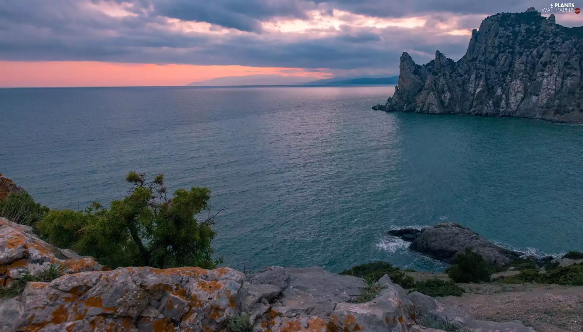 sea, dawn, Bush, rocks