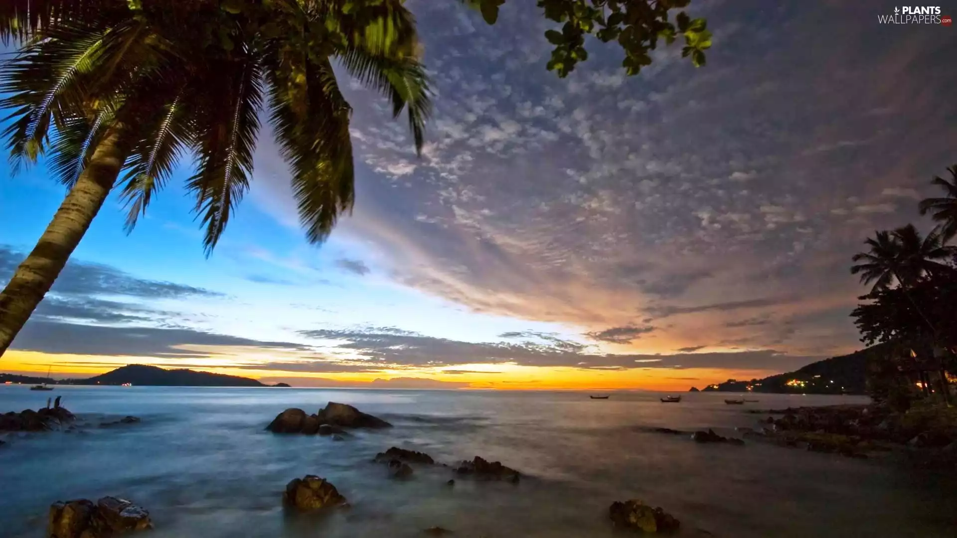 sea, Palm, Thailand, rocks