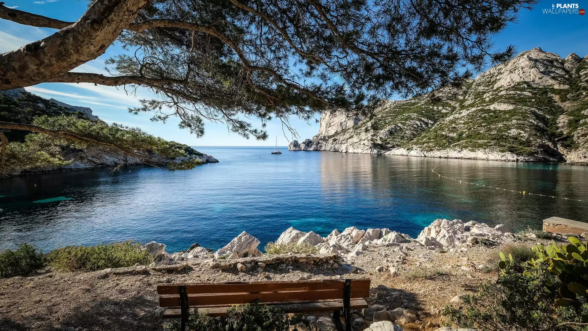 sea, Bench, trees, rocks