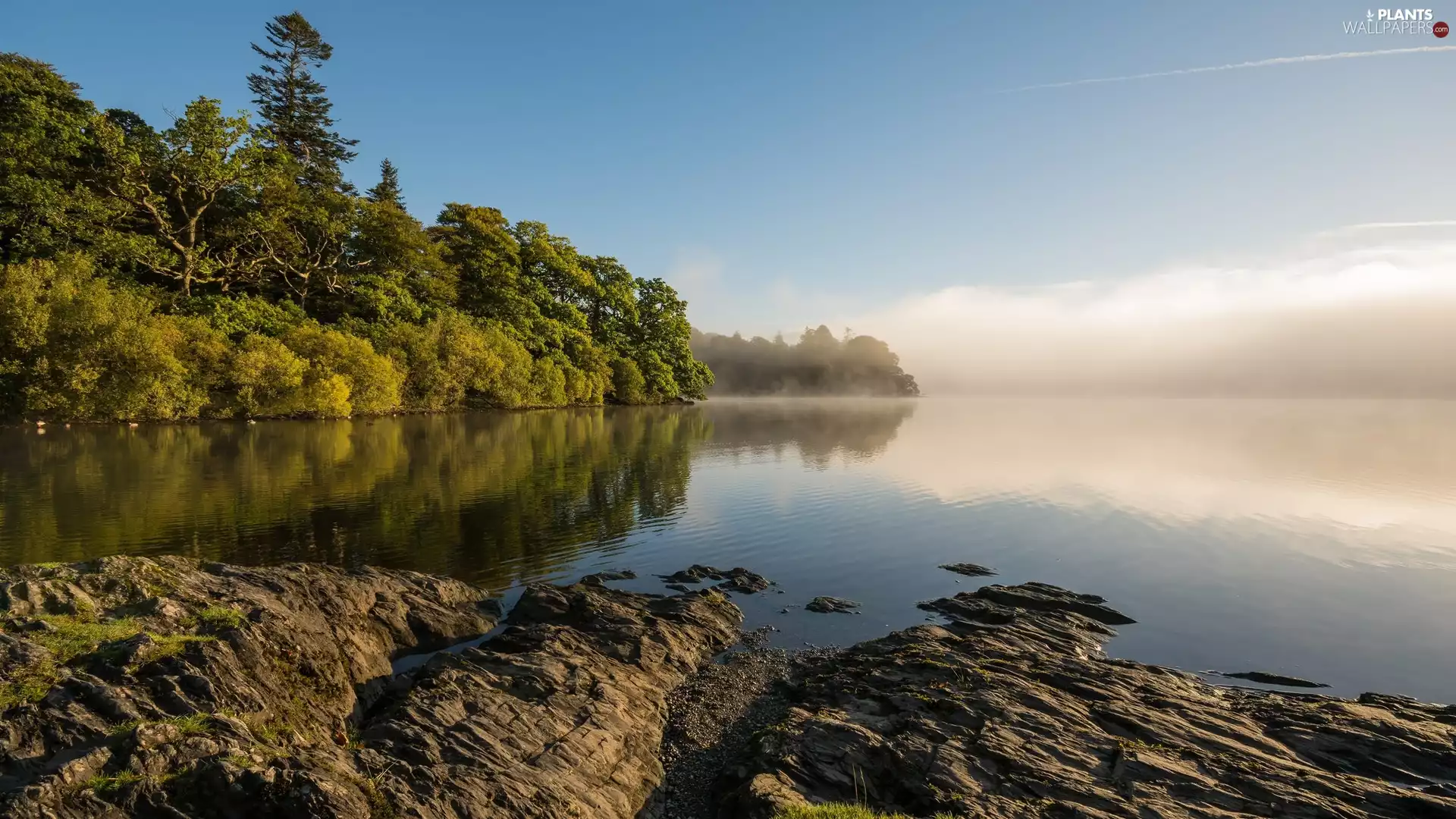 trees, coast, Sky, rocks, lake, viewes, clouds