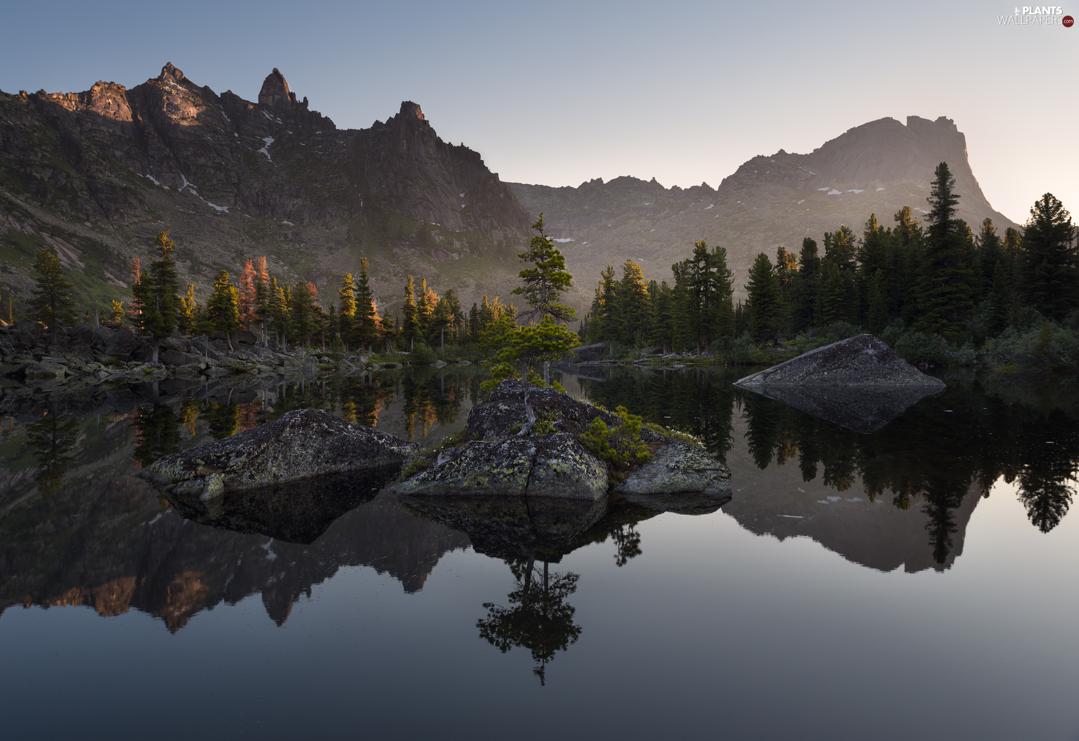 trees, lake, Spruces, rocks, Mountains, viewes, reflection