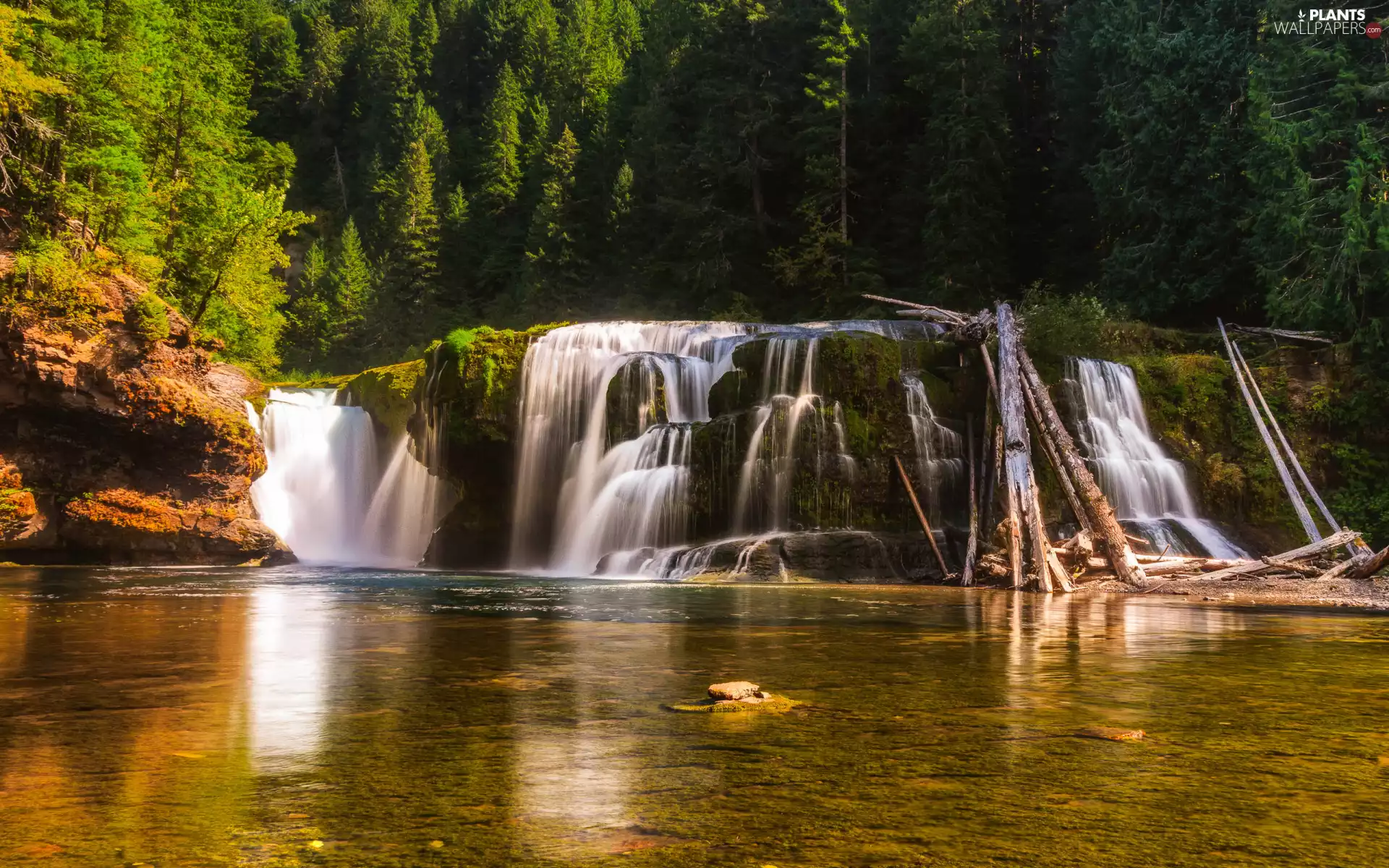 River, trees, Lower Lewis River Falls, Washington State, mossy, forest, viewes, The United States, Cougar Settlement, rocks