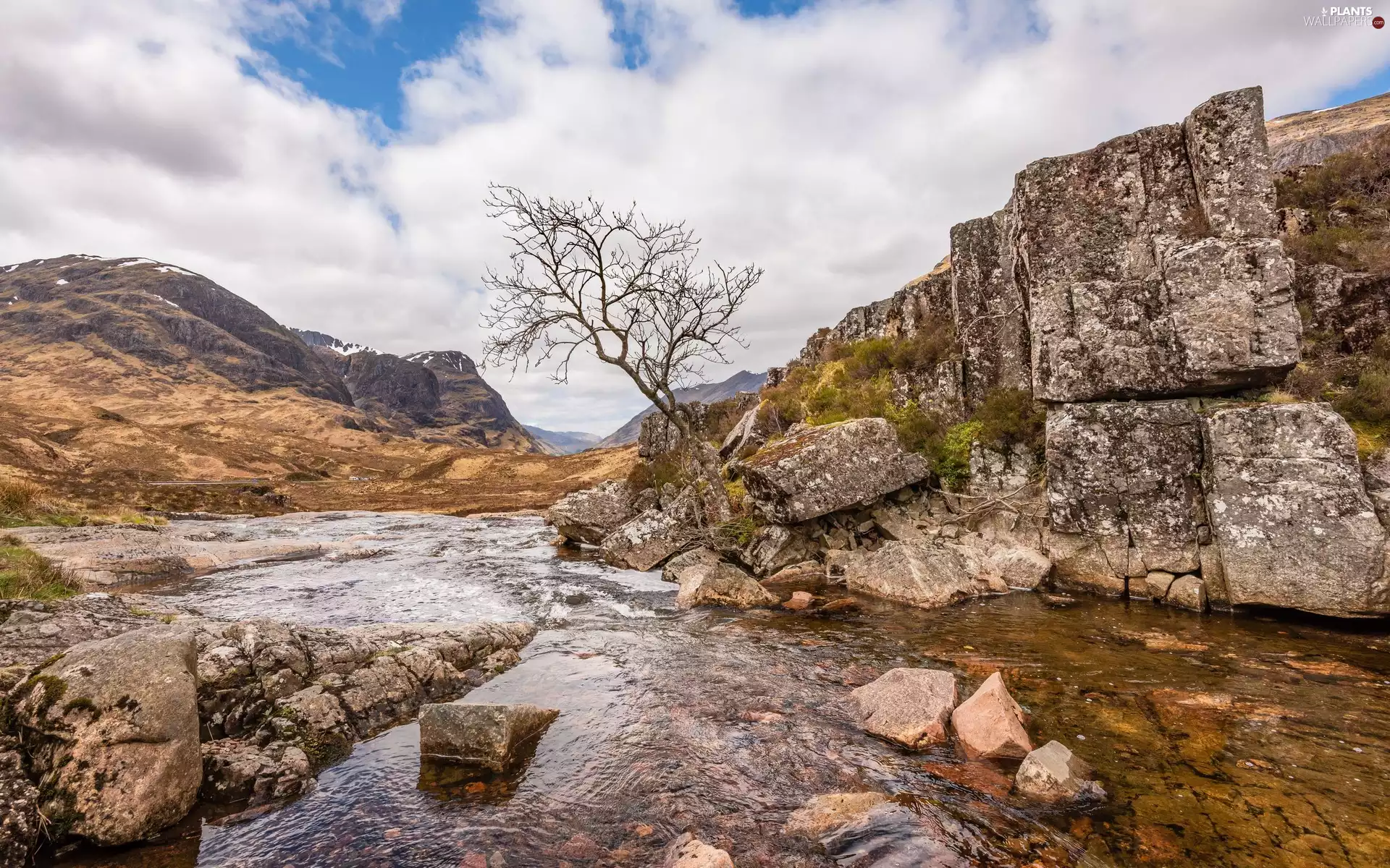 trees, rocks, Stones, boulders, River
