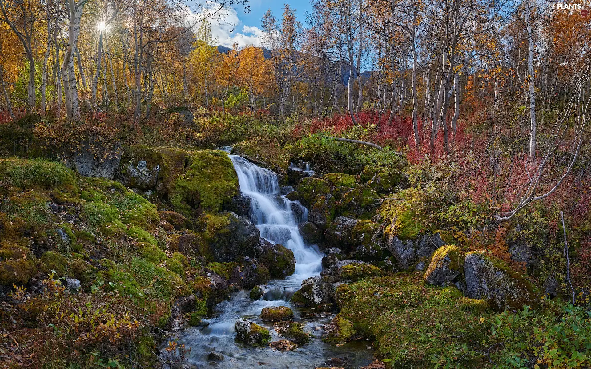 rocks, River, autumn, rays of the Sun, birch, mossy