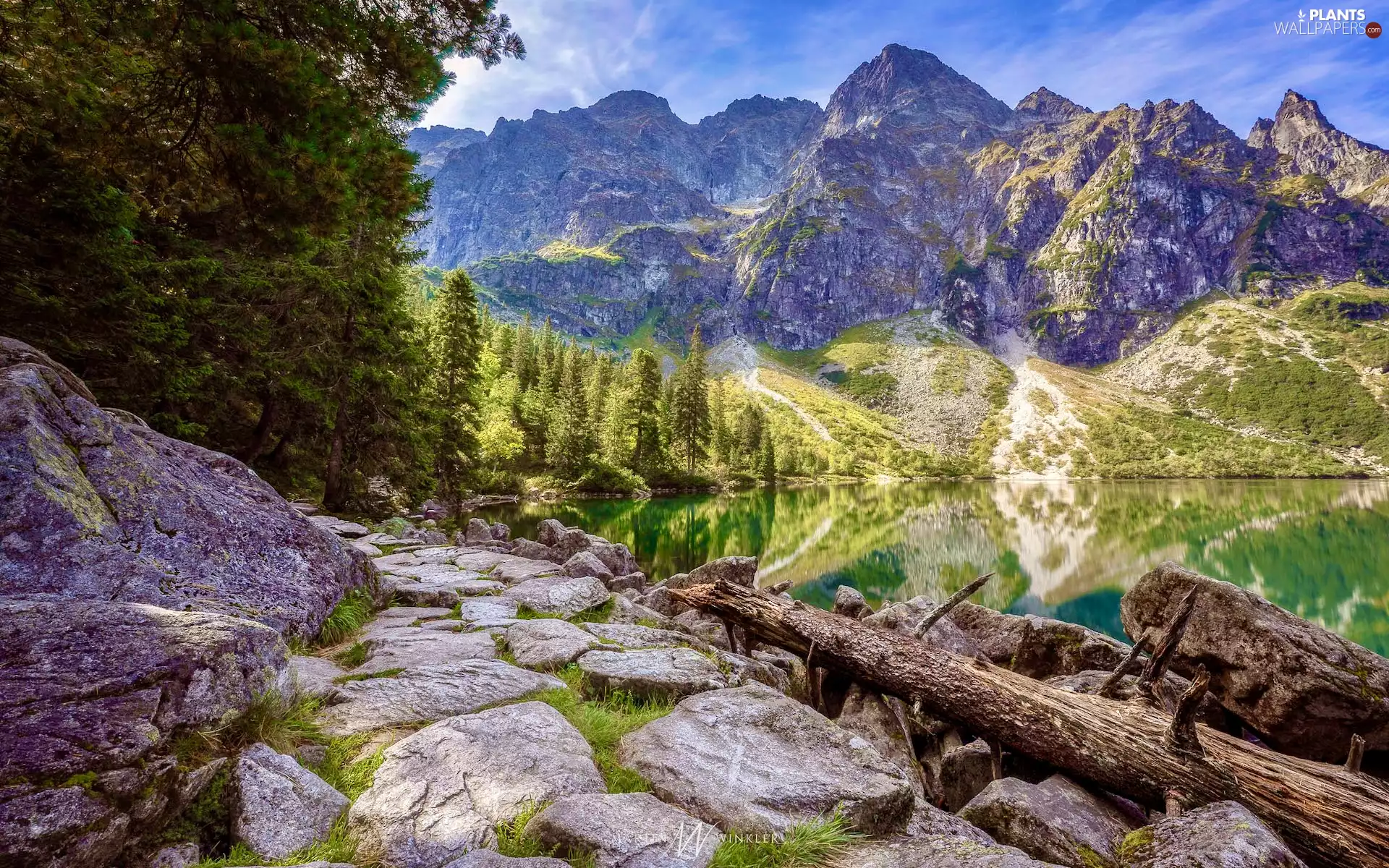 rocks, trees, Poland, viewes, Morskie Oko, Tatras, Mountains, lake