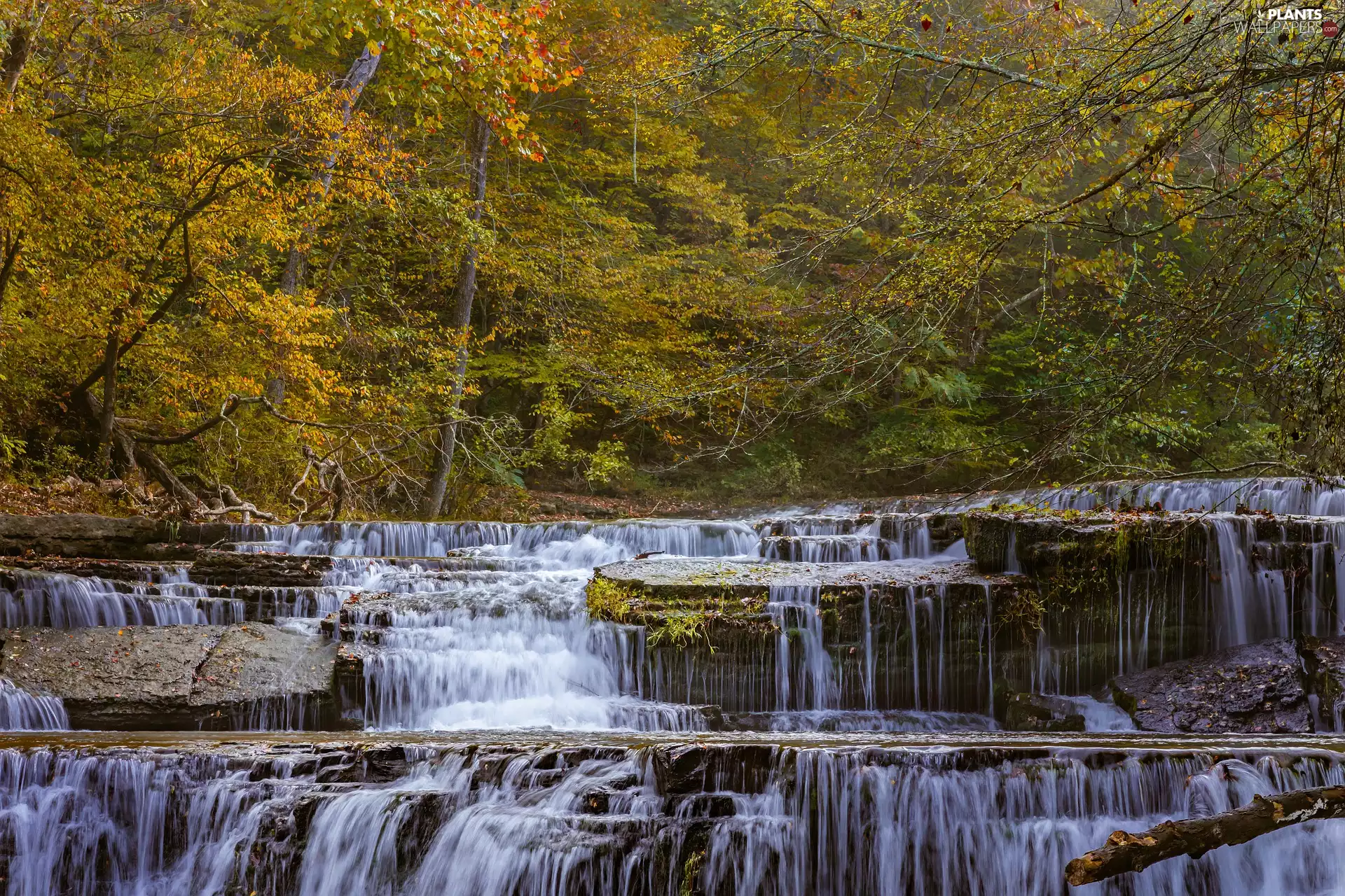 River, rocks, trees, viewes, autumn