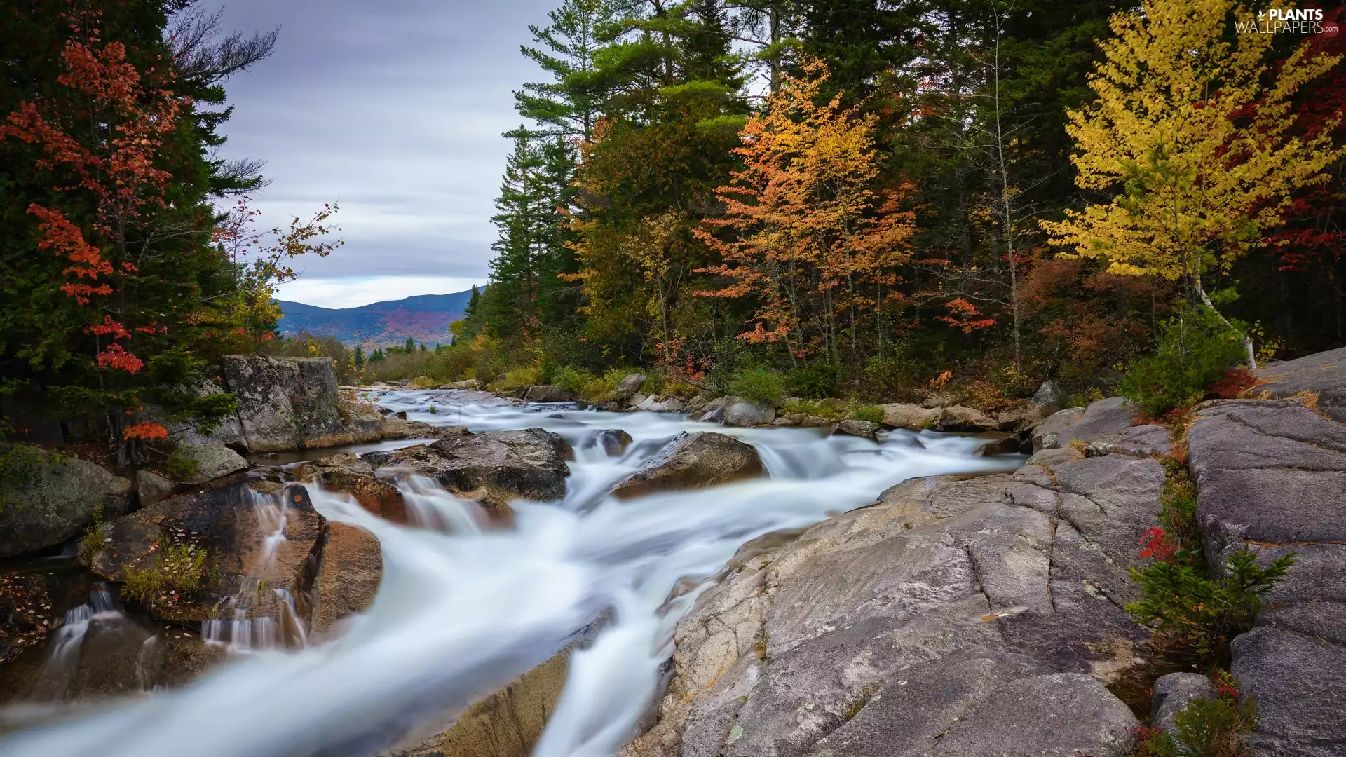 viewes, autumn, Stones, rocks, River, trees