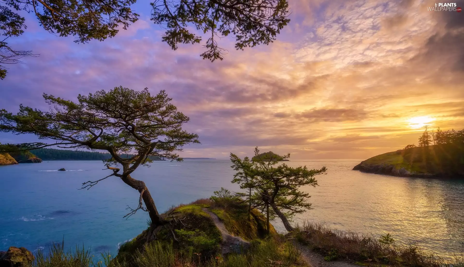 Great Sunsets, trees, Rocks, sea, clouds, viewes