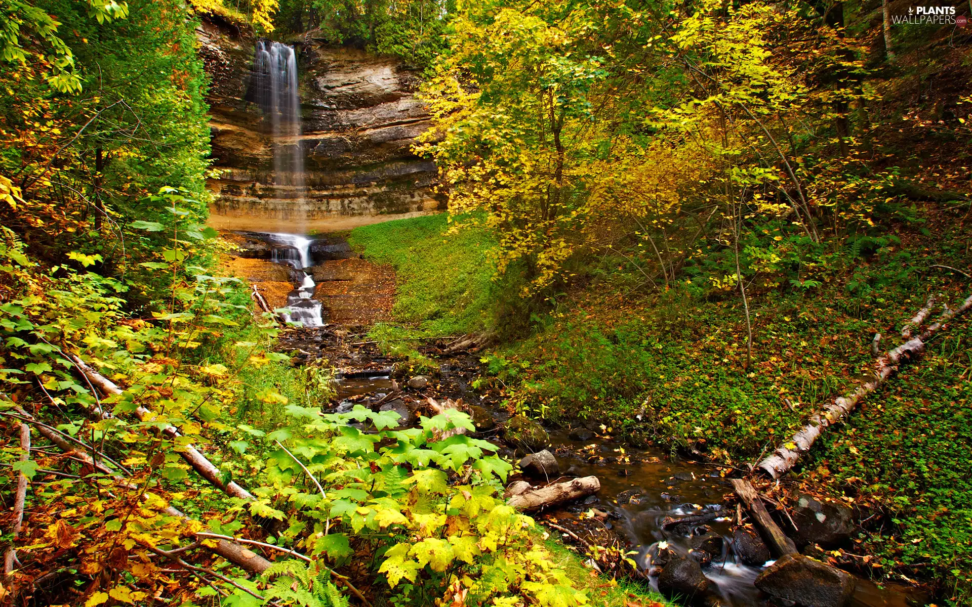 trees, viewes, VEGETATION, waterfall, flux, forest, autumn, Rocks