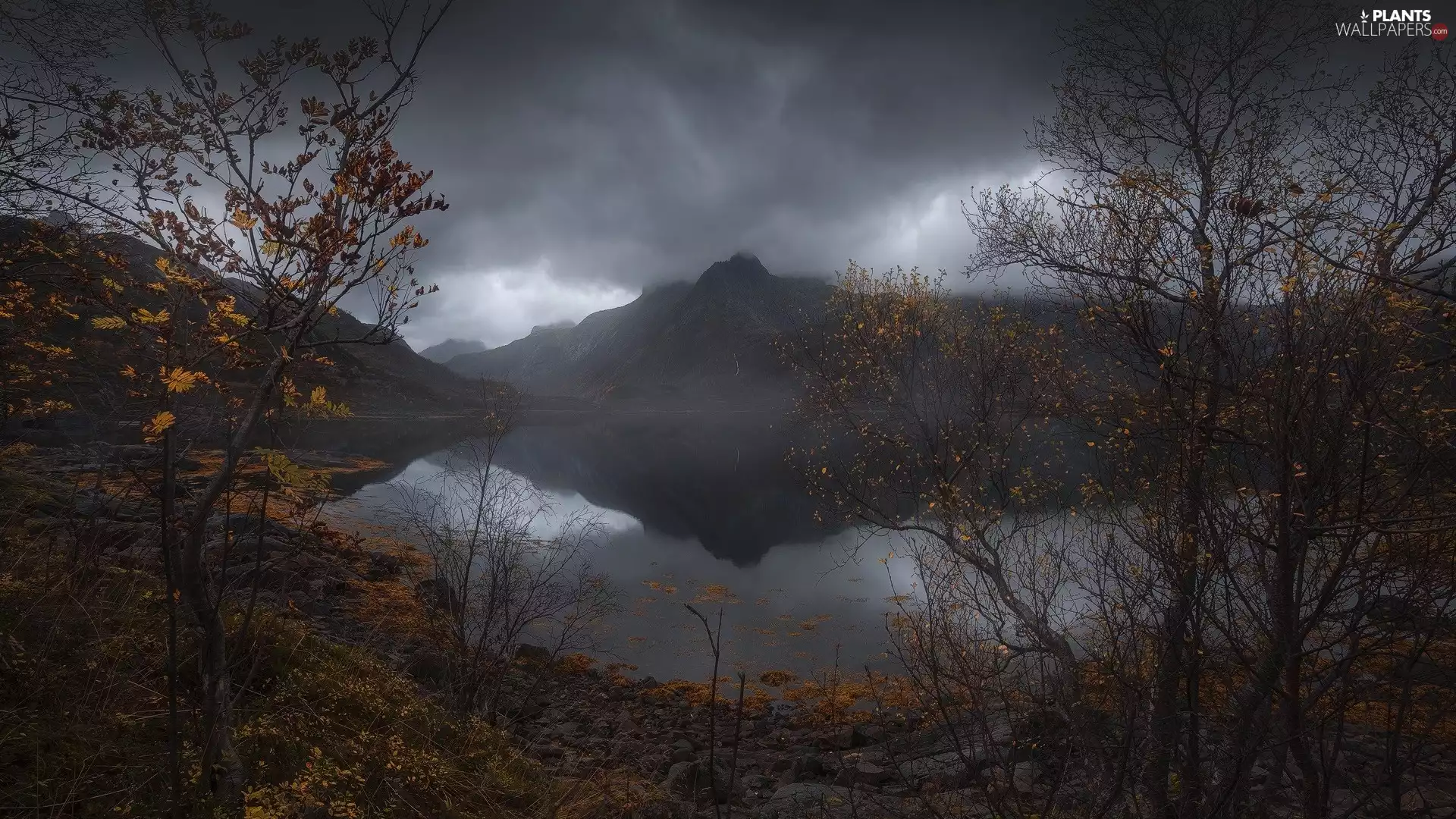 autumn, clouds, viewes, Mountains, trees, Lofoten, Norway, rocks