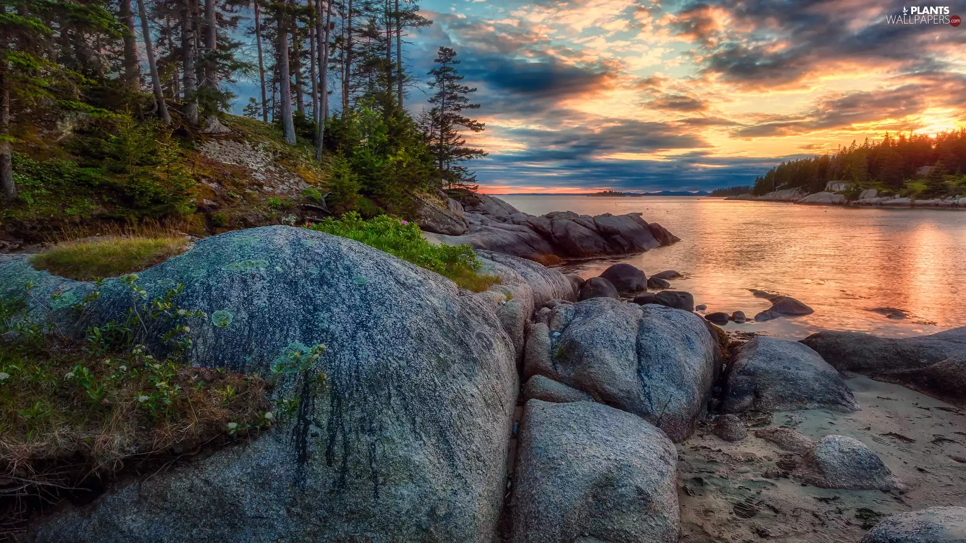 scarp, lake, viewes, rocks, Sunrise, trees, pine