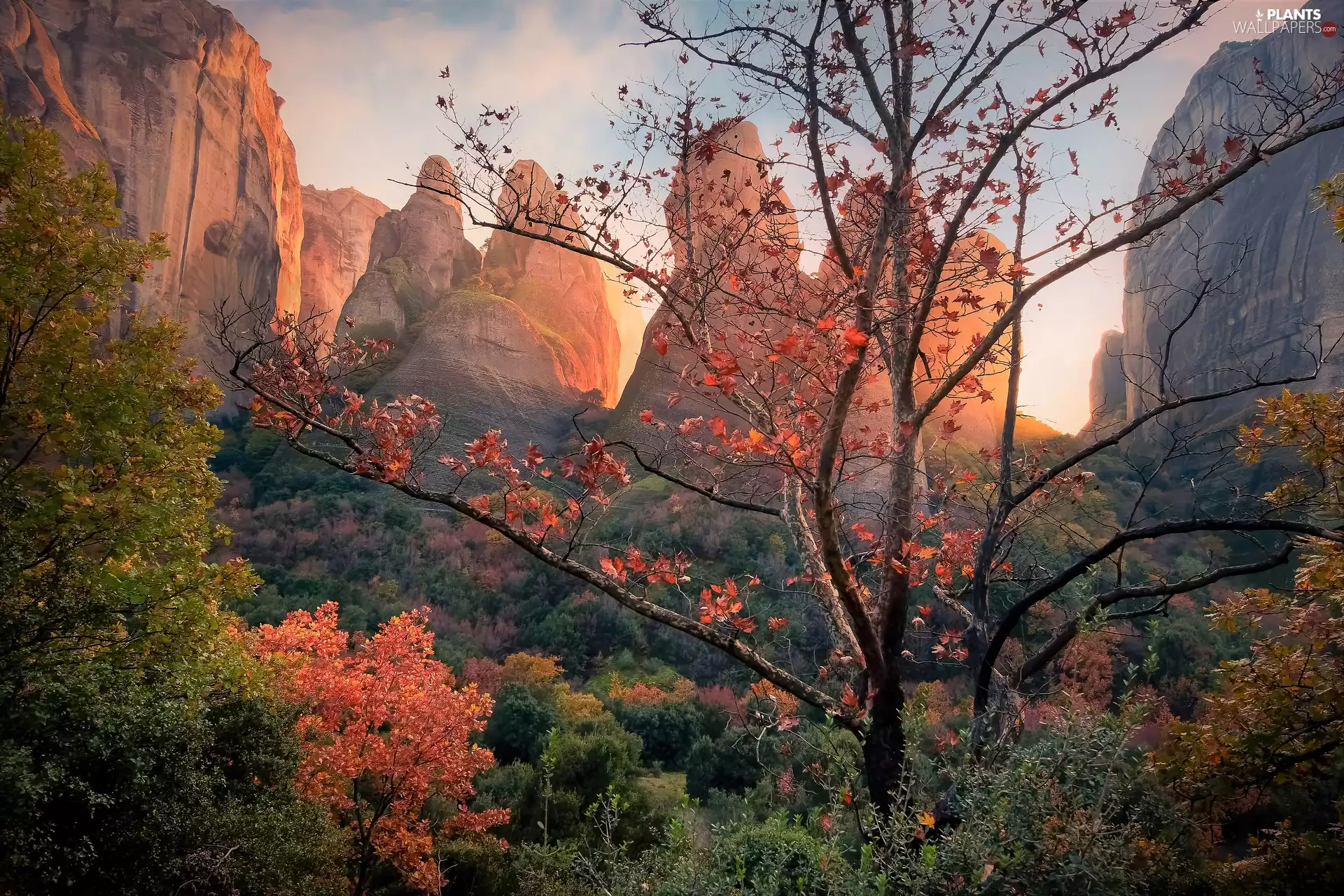 meteors, Mountains, viewes, rocks, Greece, trees, autumn