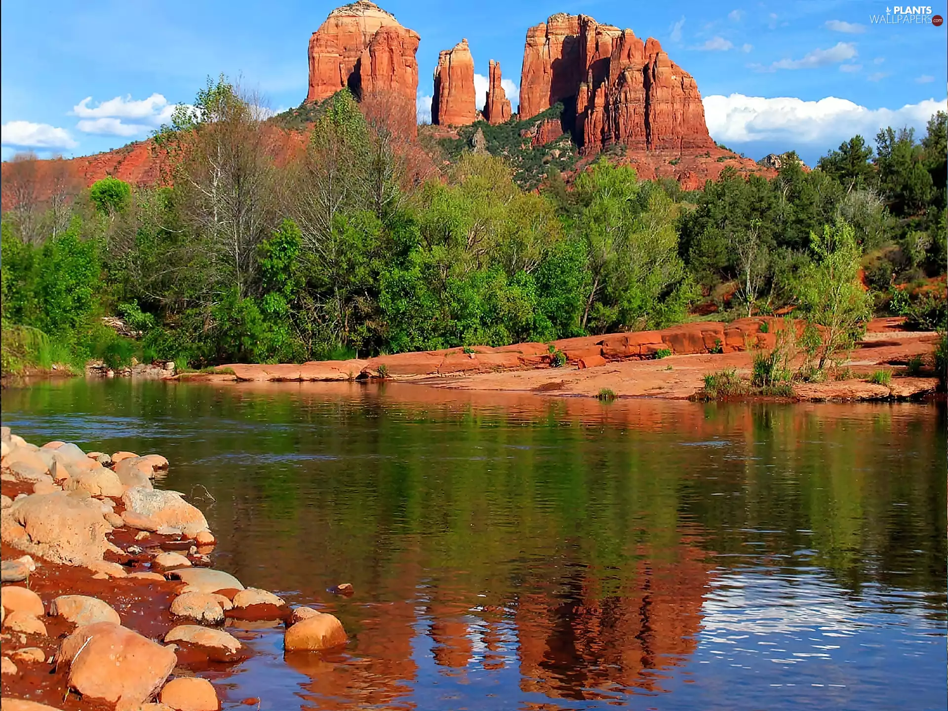 canyon, River, viewes, Colorado, trees, large, Arizona, rocks