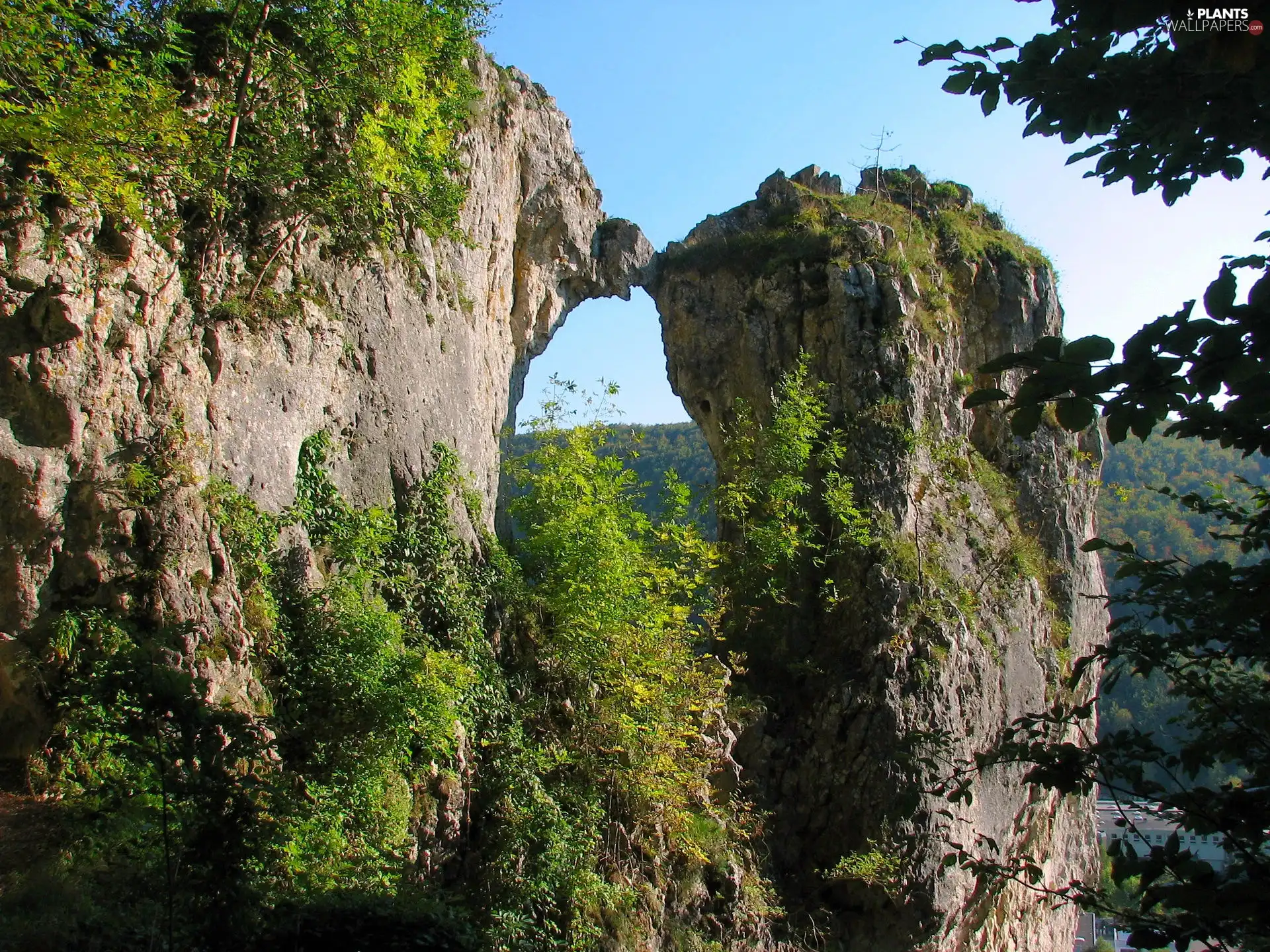 Rocks, trees, viewes