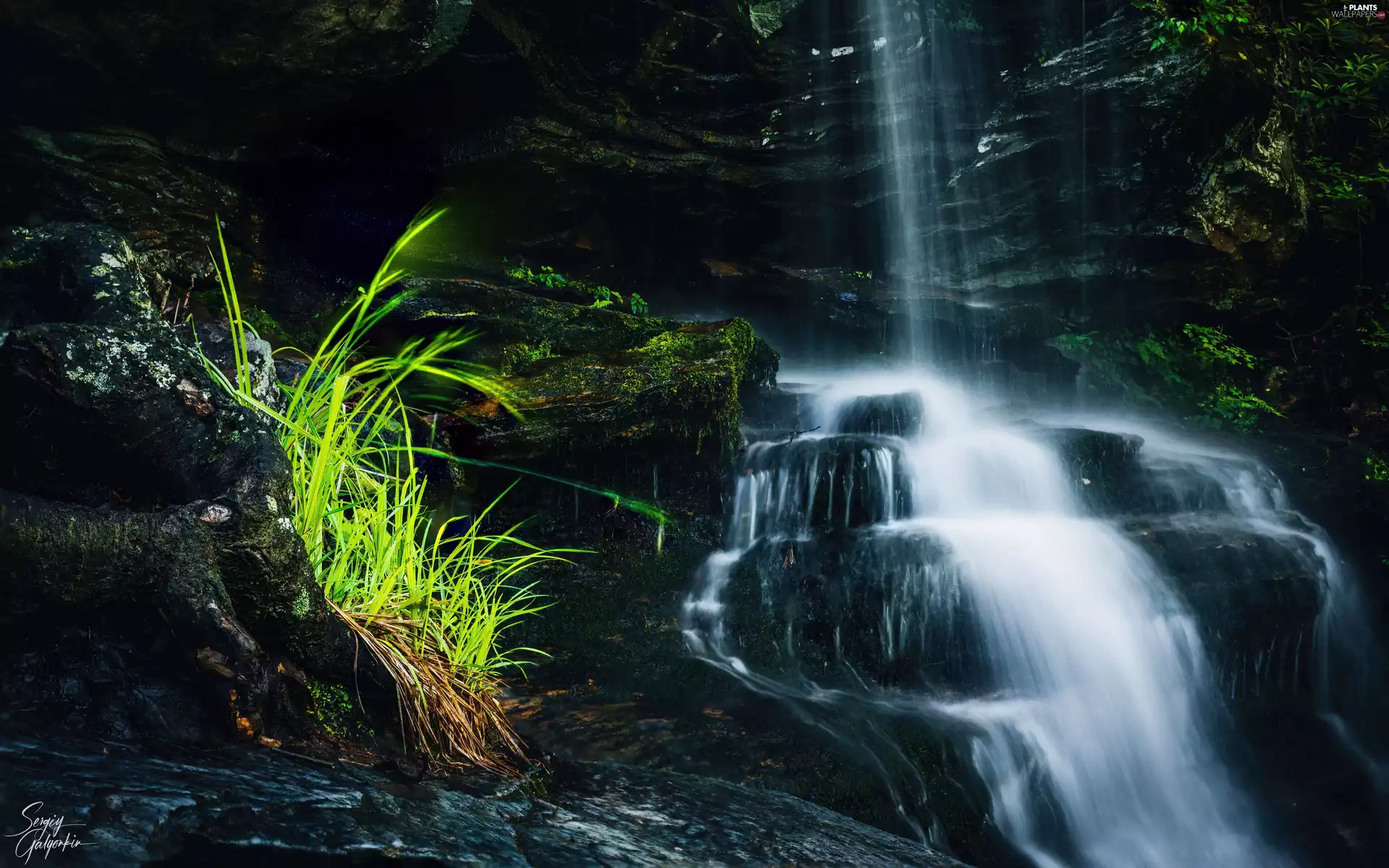 waterfall, Stones, grass, Rocks