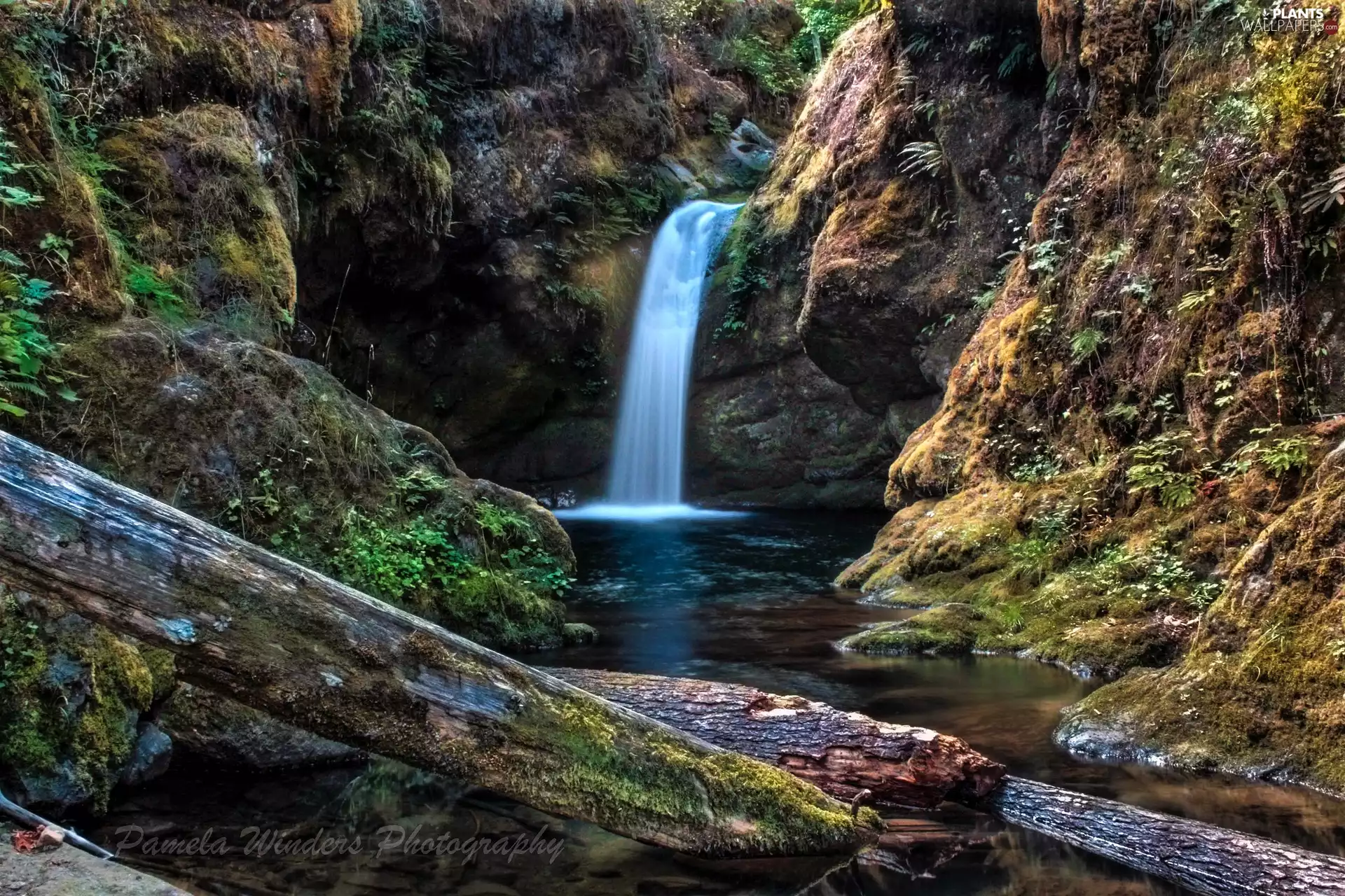 waterfall, Plants, Moss, rocks