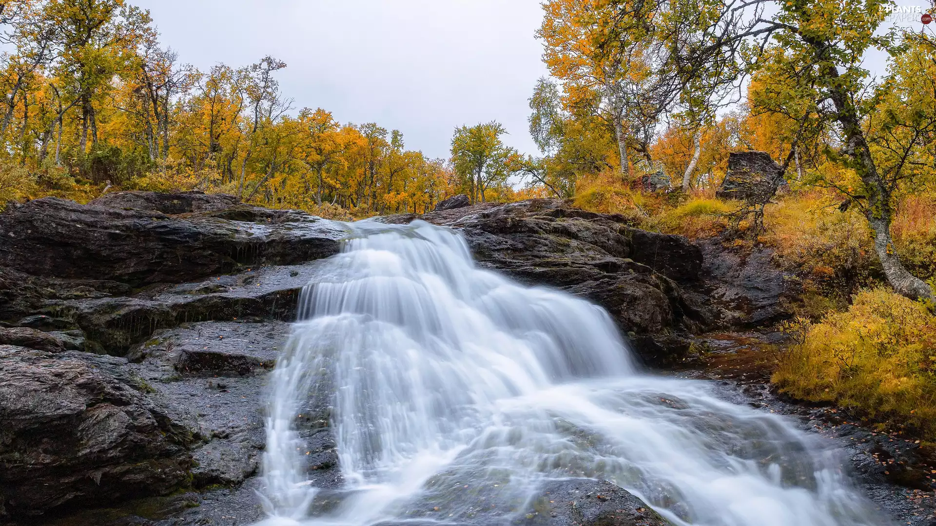 River, autumn, viewes, rocks, trees, waterfall